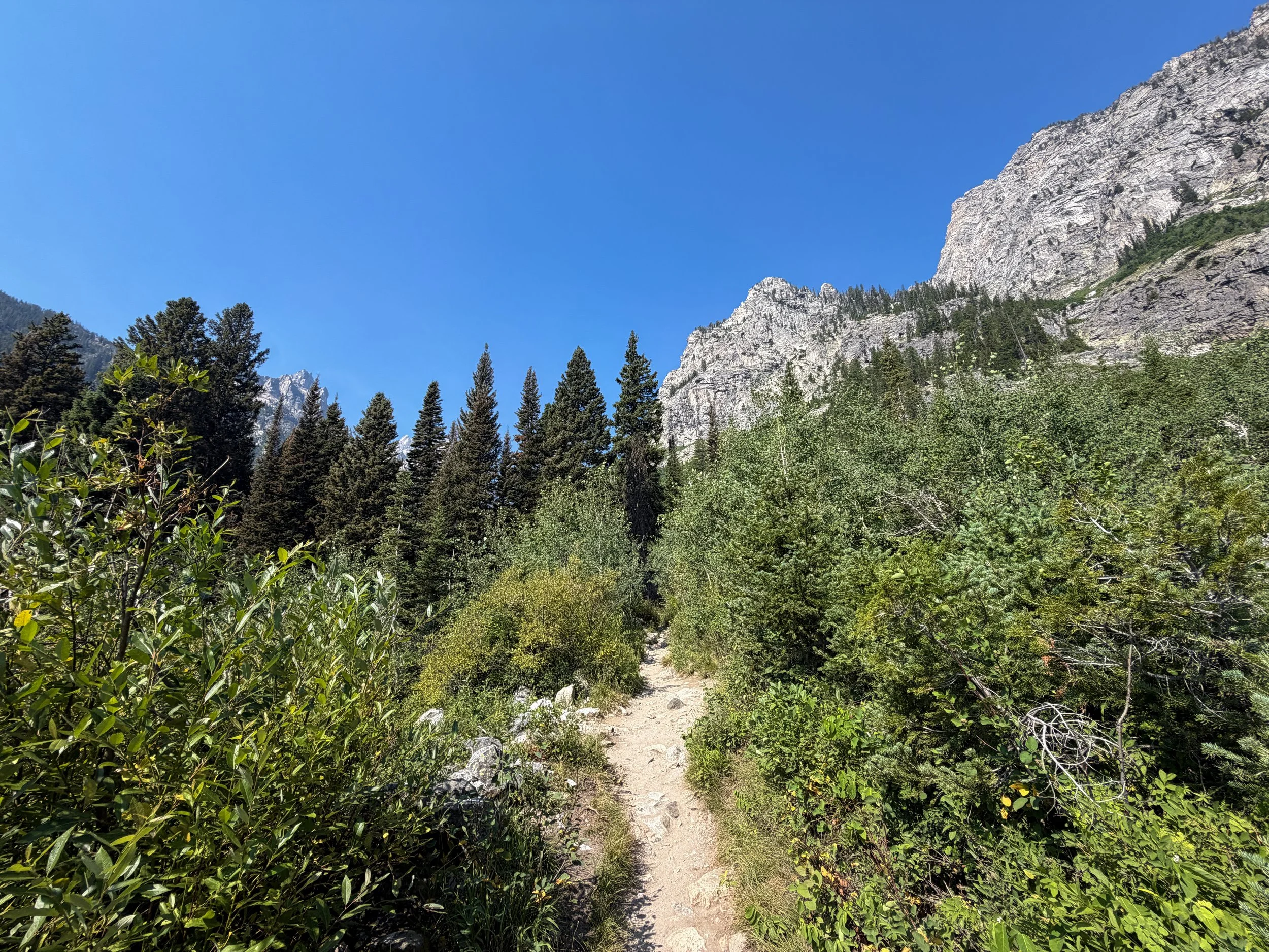 Inspiration Point Trail Grand Teton National Park Wyoming