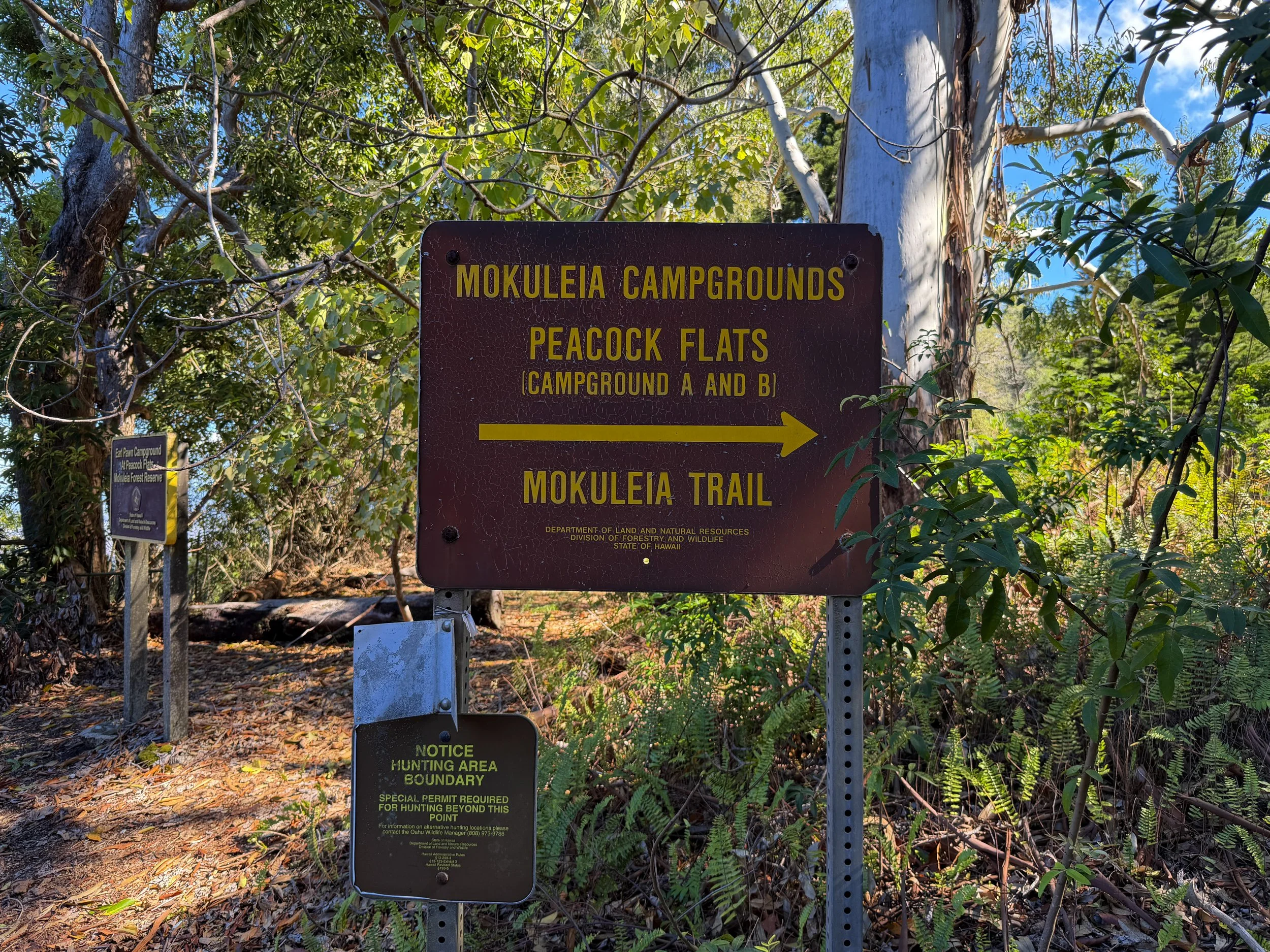 Peacock Flats to Mokuleia Trail Oahu Hawaii
