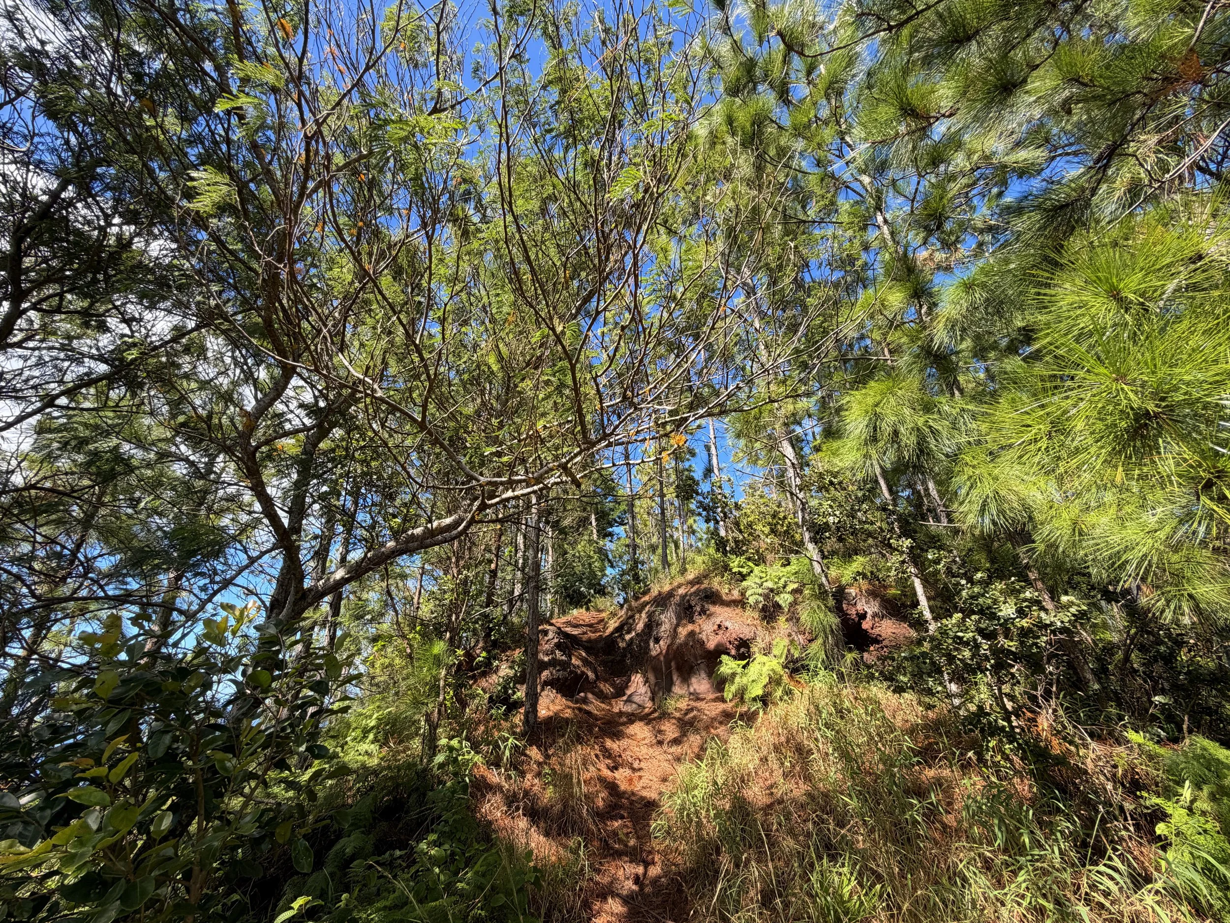 Kuaokala Hike Oahu Hawaii