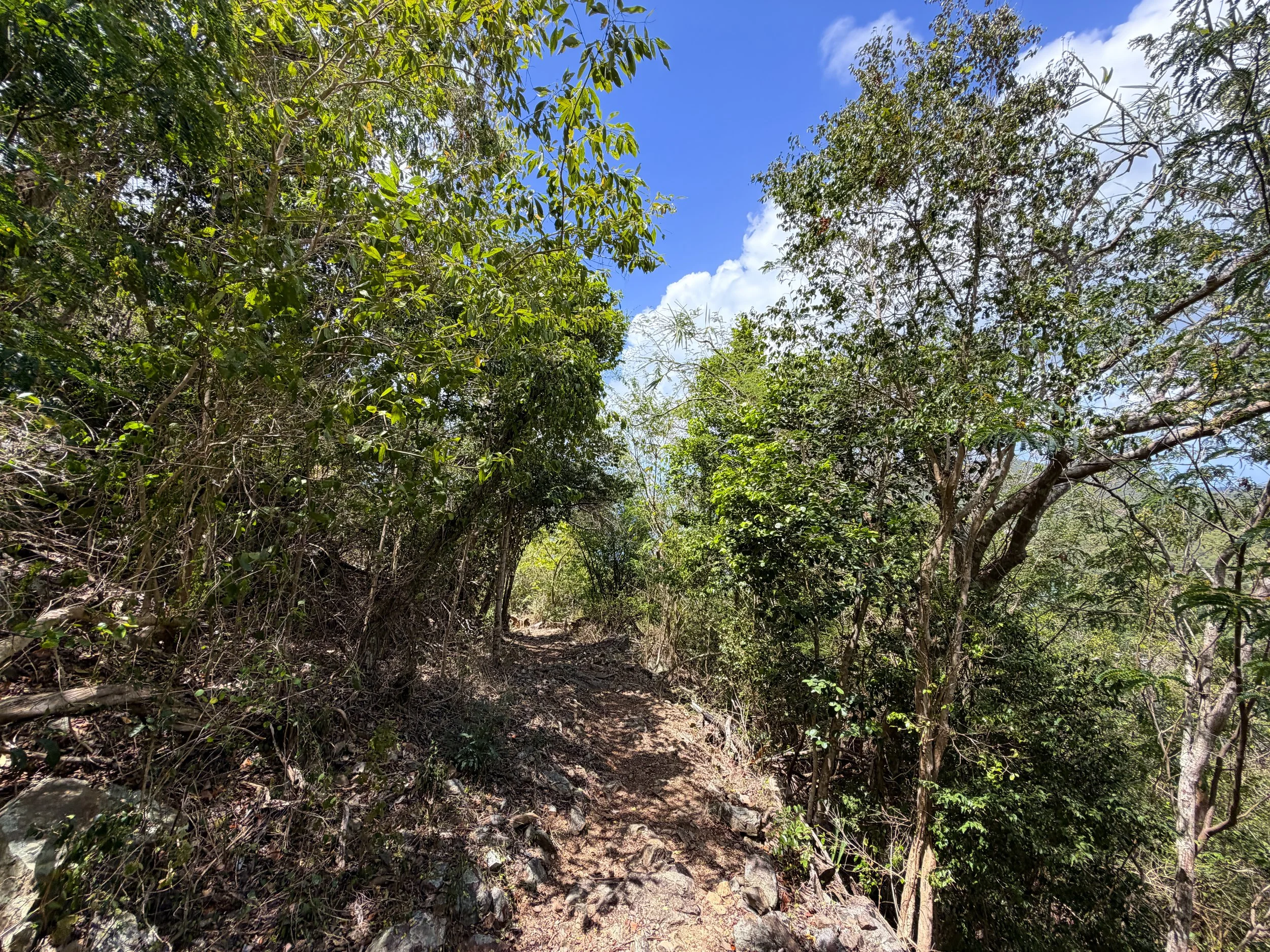 Maria Hope Trail Virgin Islands National Park