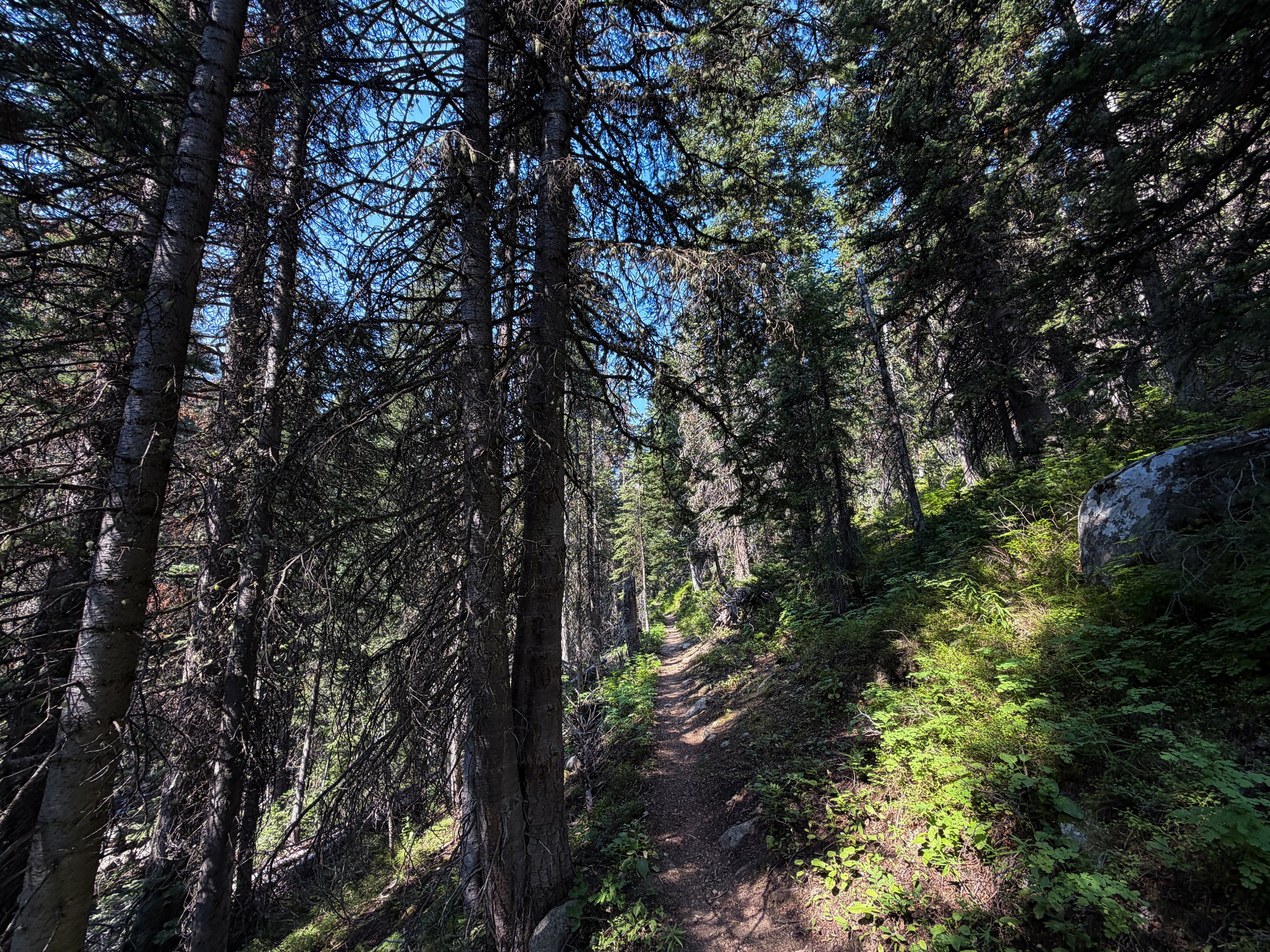 East Rosebud Trail The Beaten Path Beartooth Mountains Montana