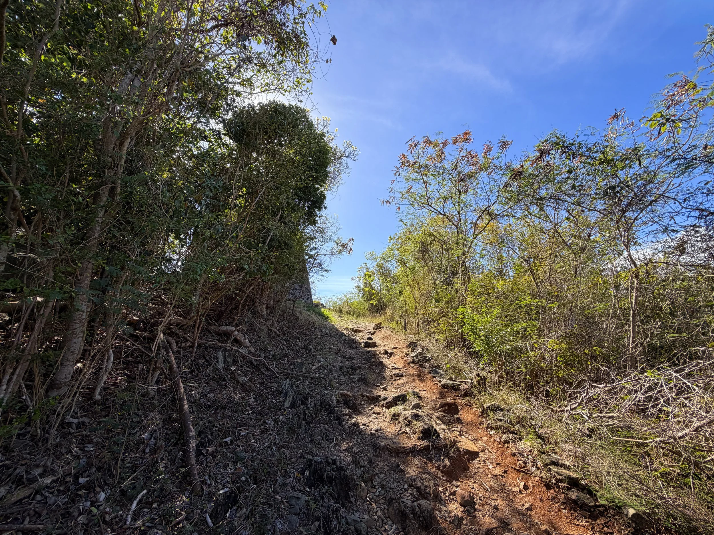 Peace Hill Trail Virgin Islands National Park