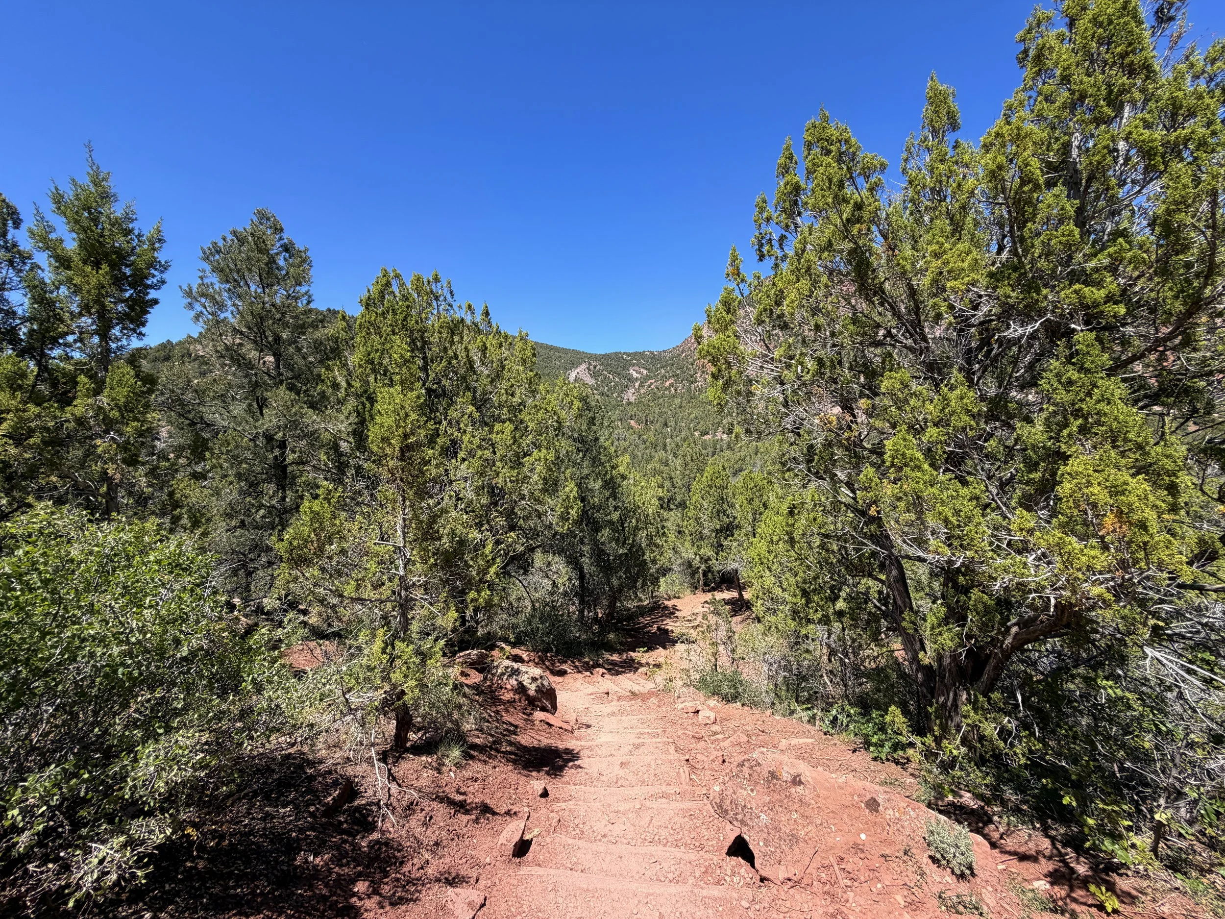 Taylor Creek Trail Zion National Park Utah