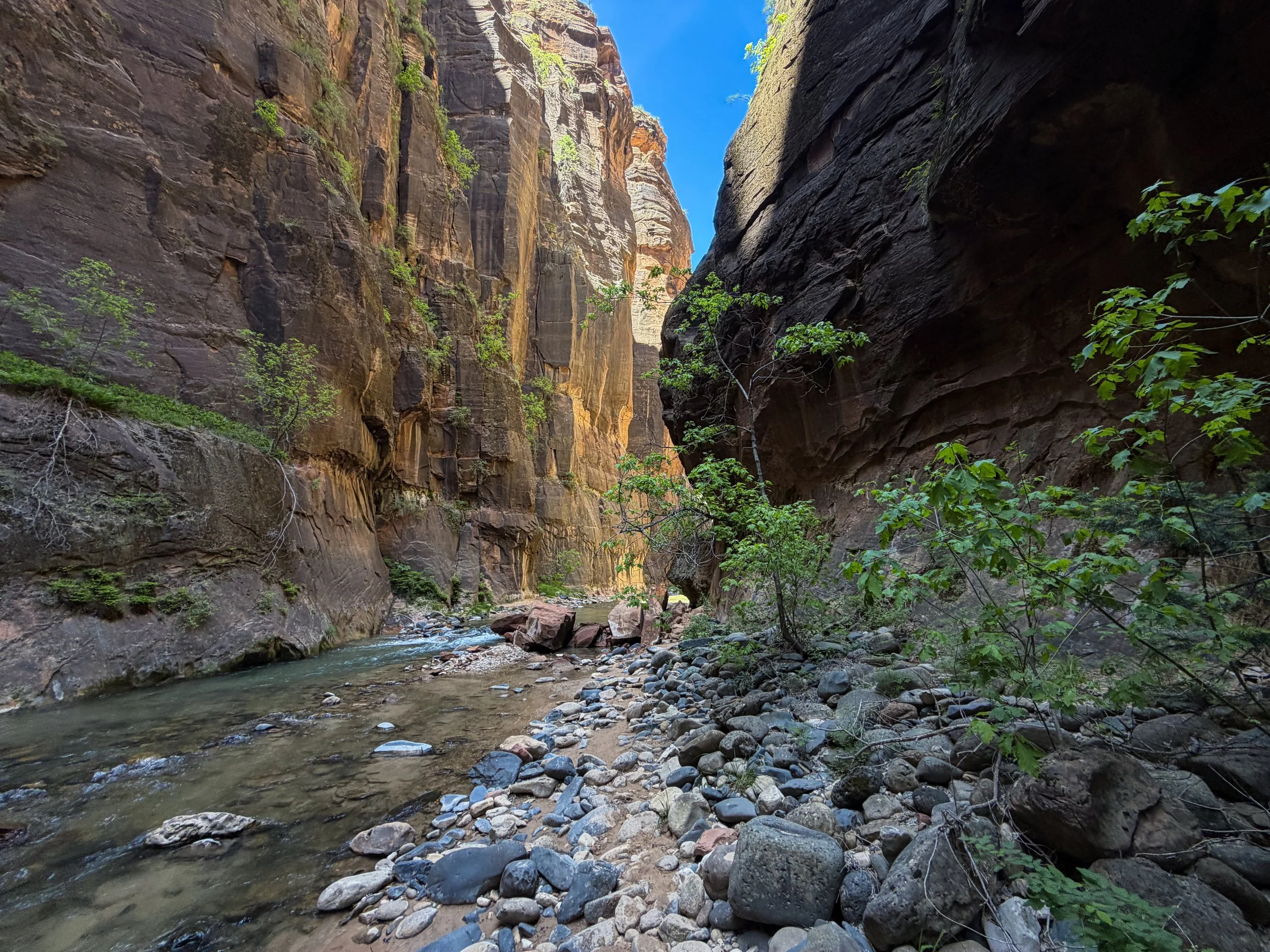 The Narrows Bottom Up to Big Springs Zion National Park Utah