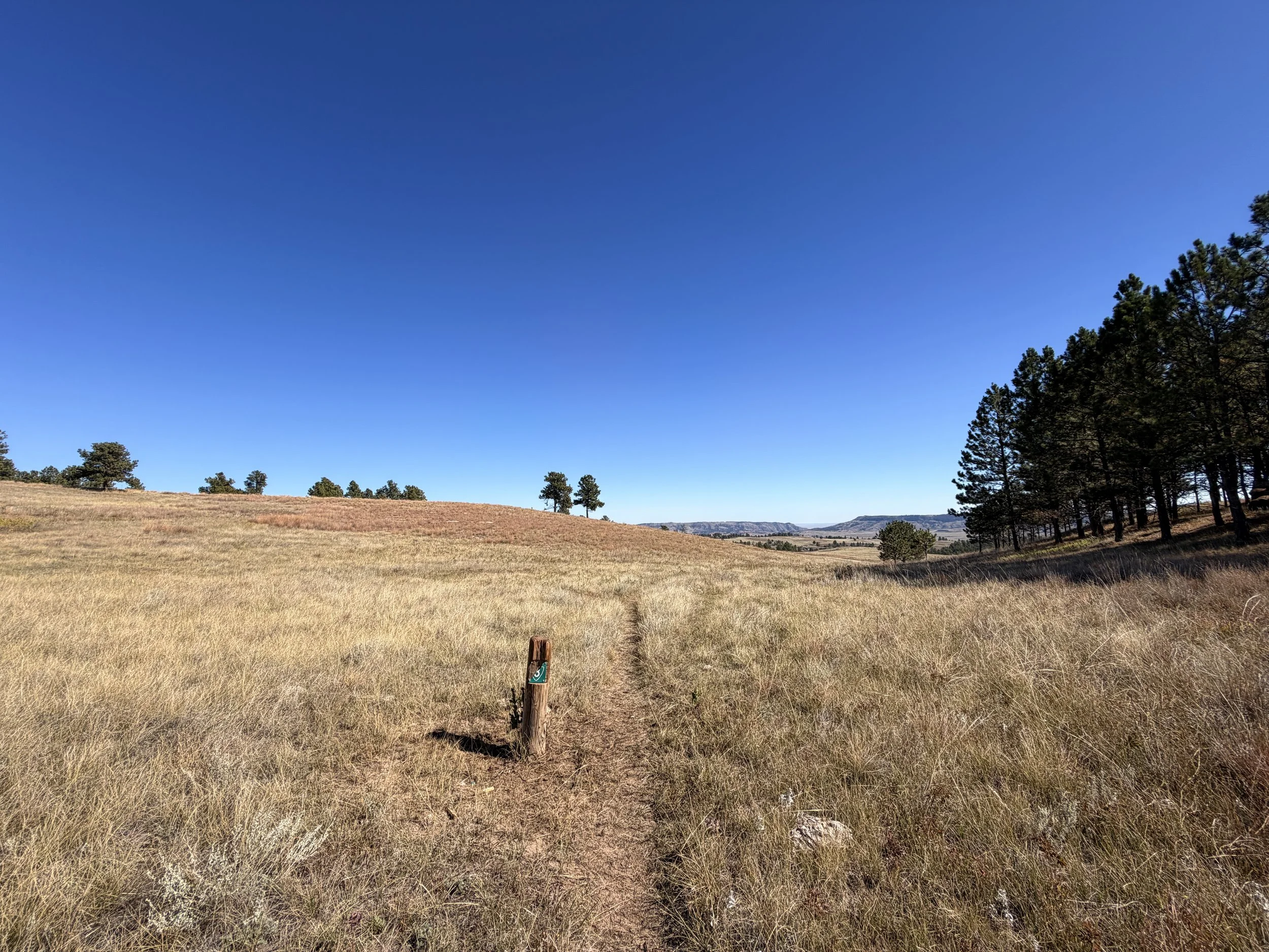 East Bison Flats Trail Wind Cave National Park South Dakota