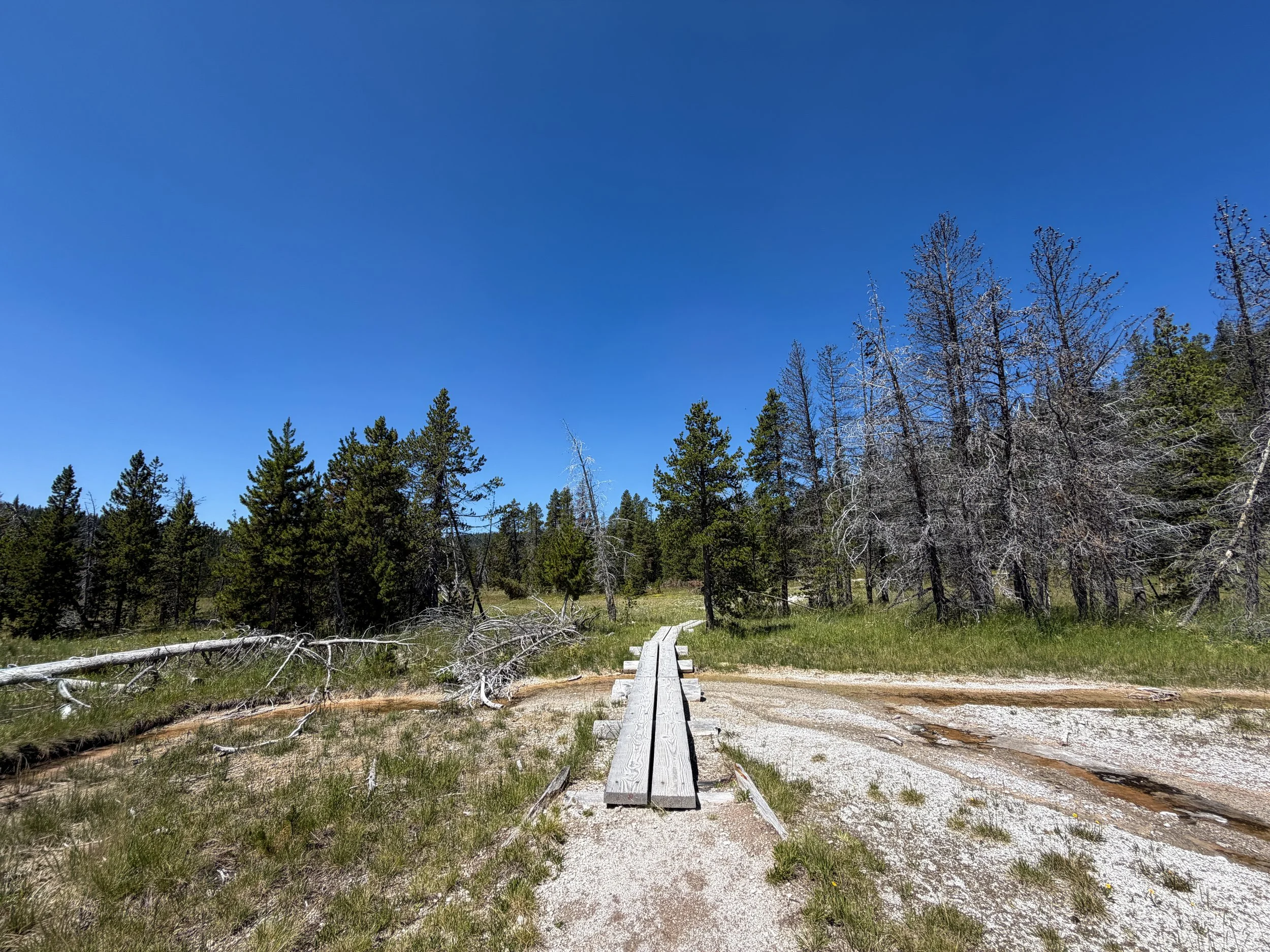 Lone Star Geyser Trail Yellowstone National Park Wyoming