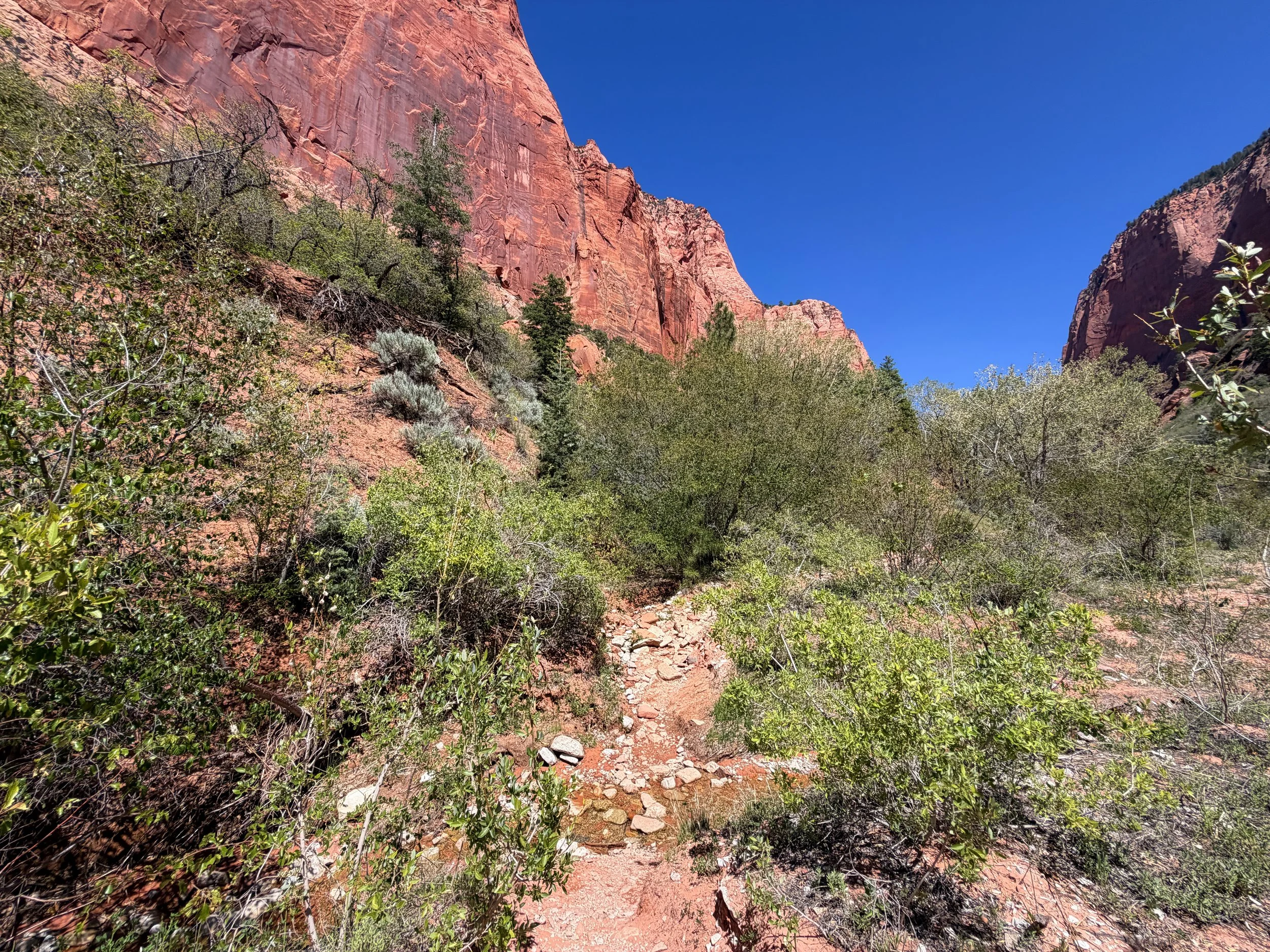 Taylor Creek Trail Zion National Park Utah
