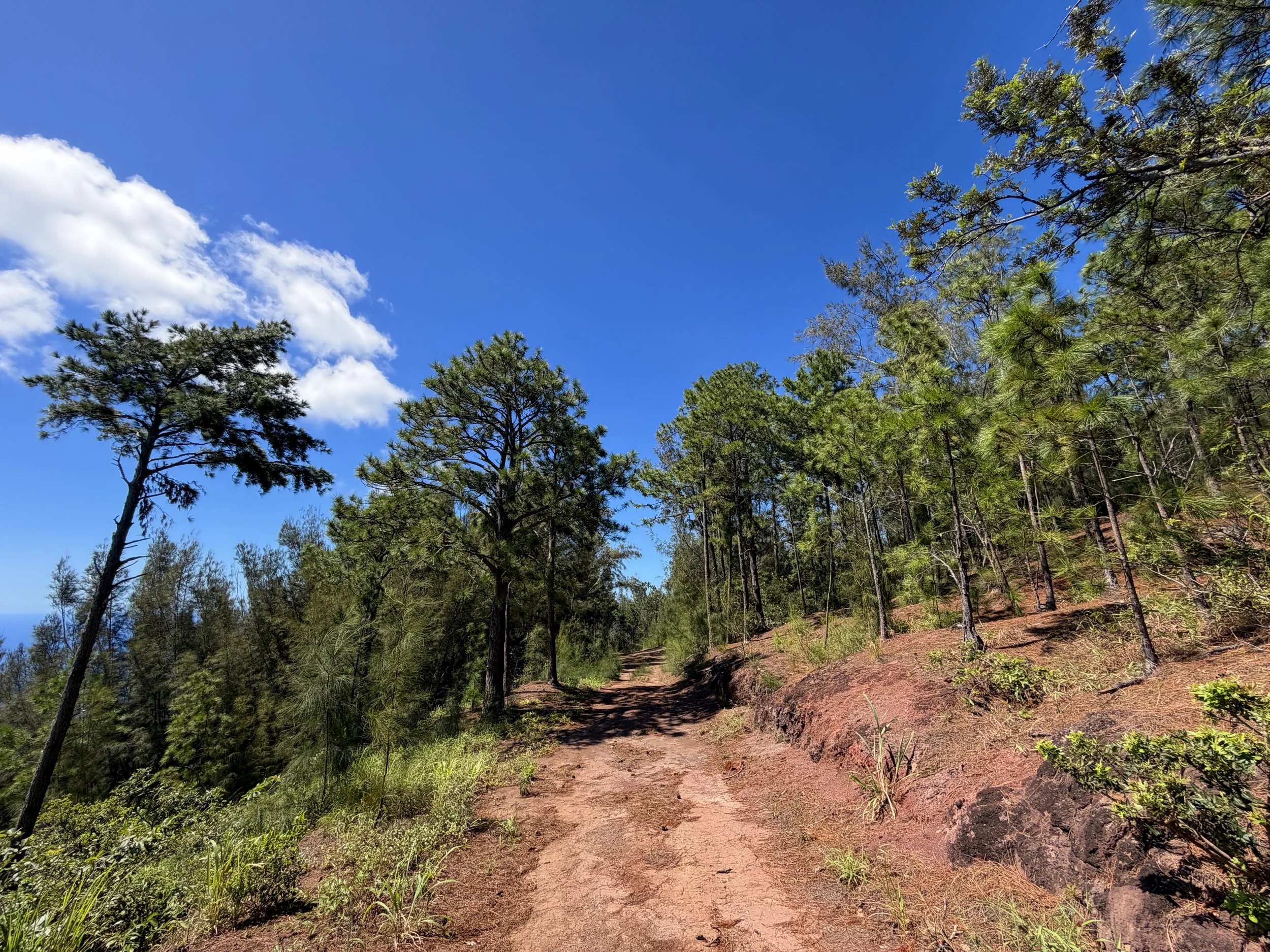 Kuaokala Trail Oahu Hawaii