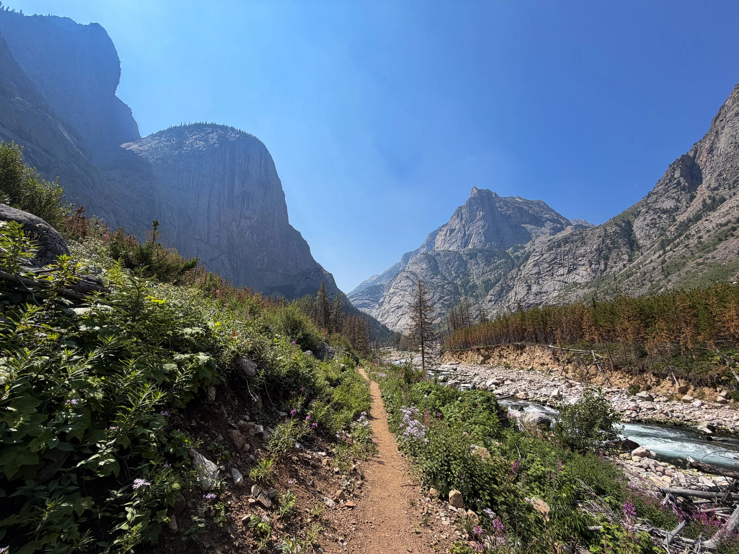 East Rosebud Trail Beaten Path Beartooth Mountains Montana