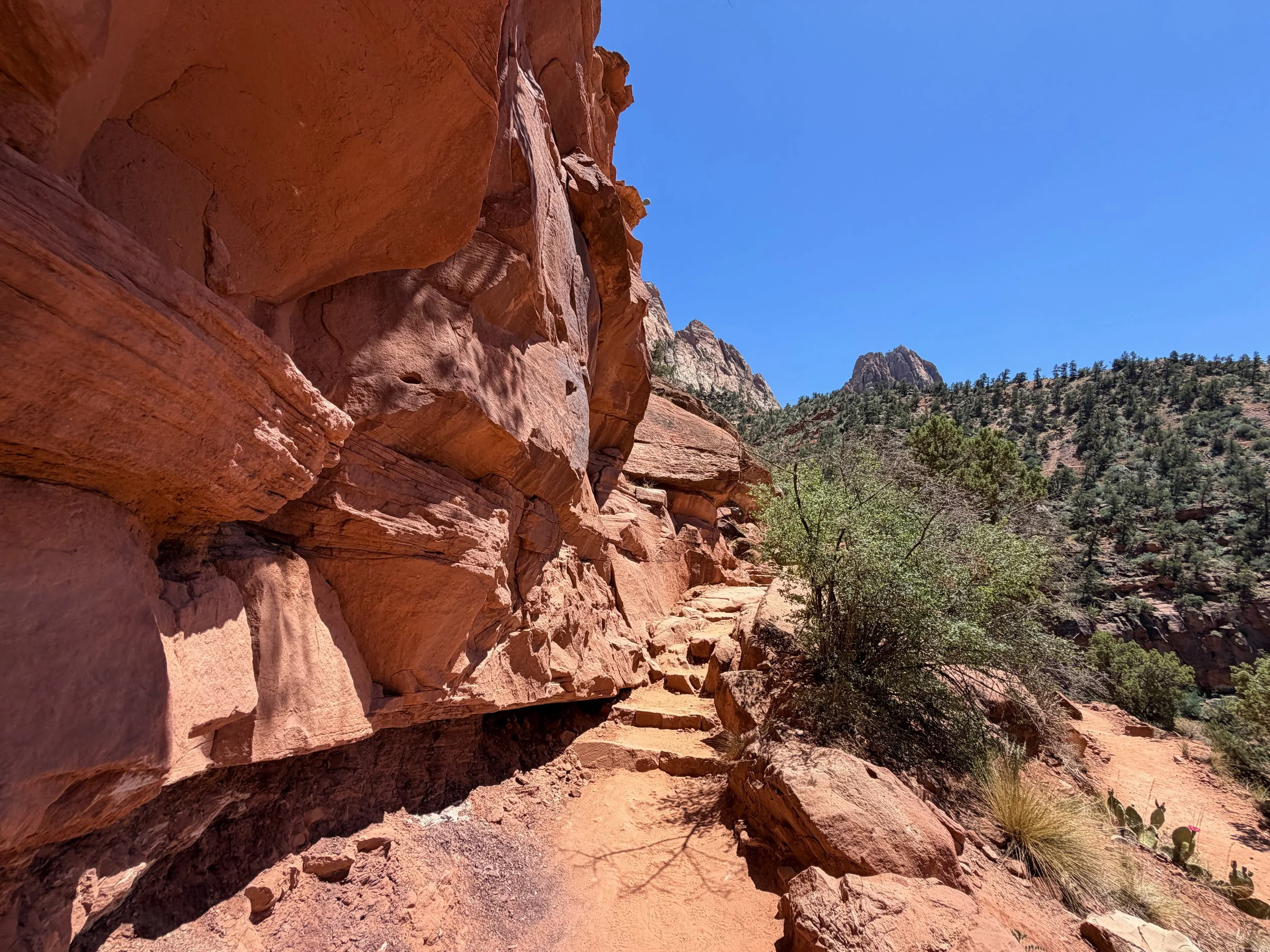 Watchman Trail Switchbacks Zion National Park Utah