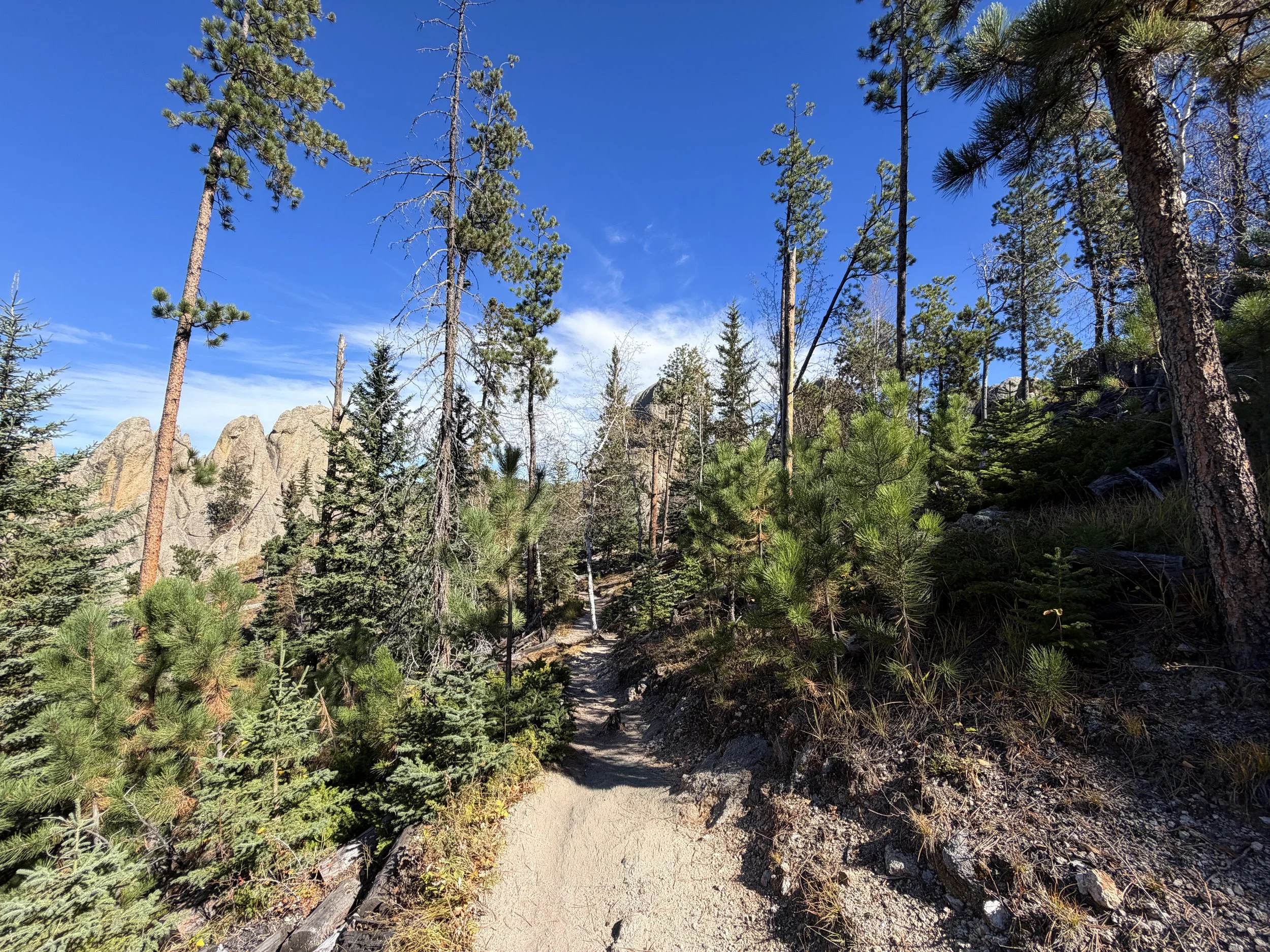 Sunday Gulch Trail Custer State Park Black Hills South Dakota