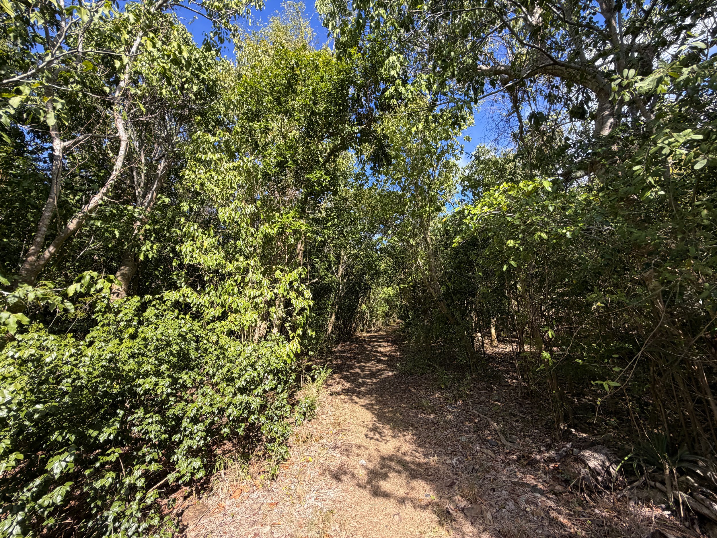 Lameshur Bay Trail Virgin Islands National Park