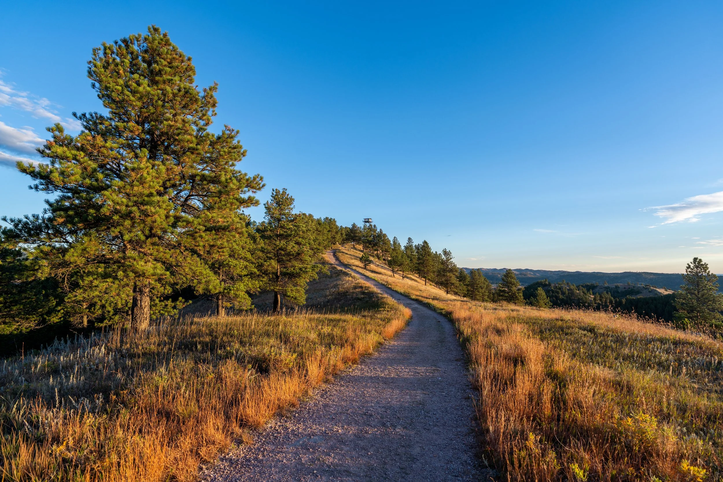 Rankin Ridge Trail Sunrise Wind Cave National Park South Dakota