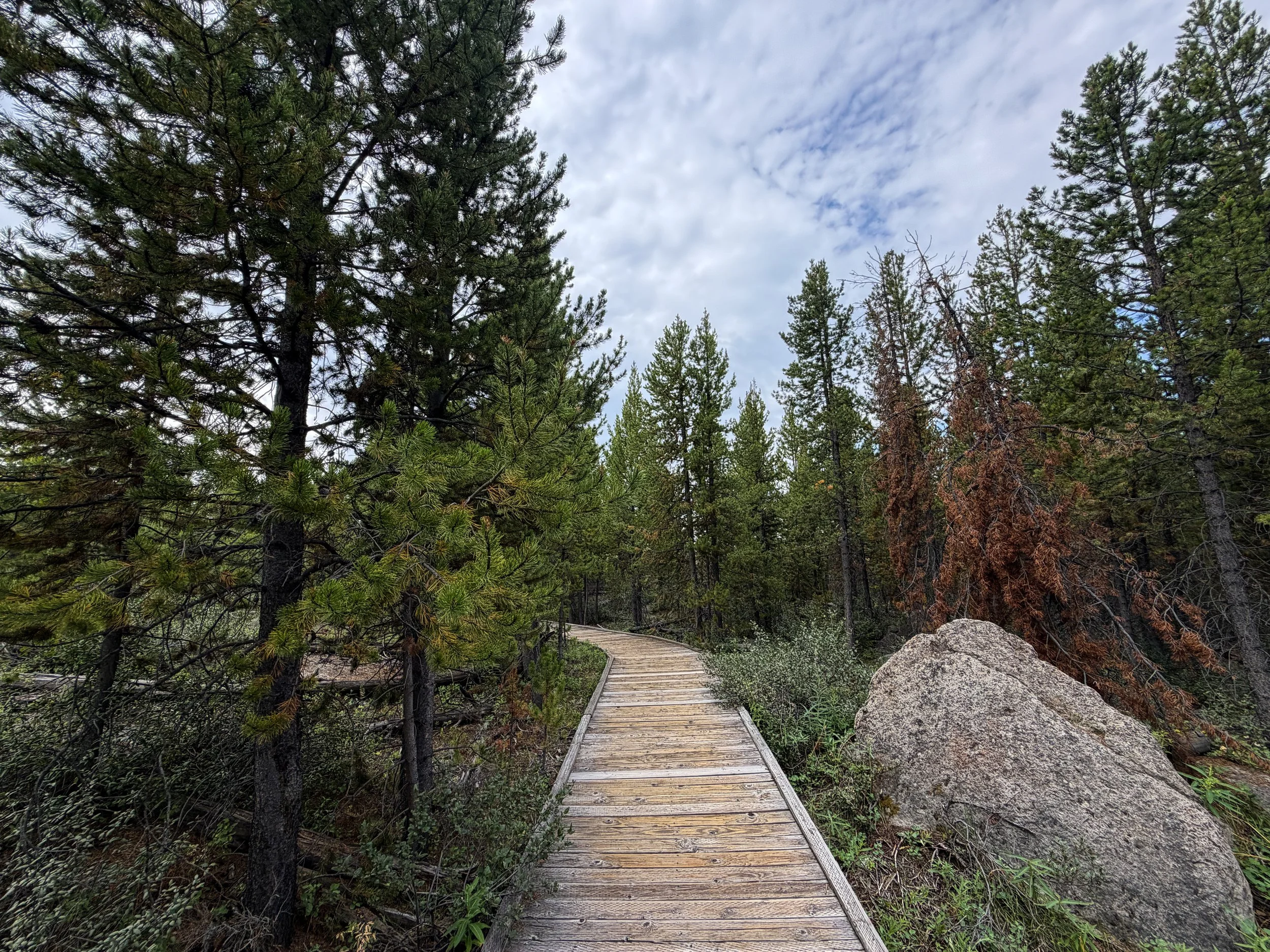 Forces of the Northern Range Hike Yellowstone National Park Wyoming