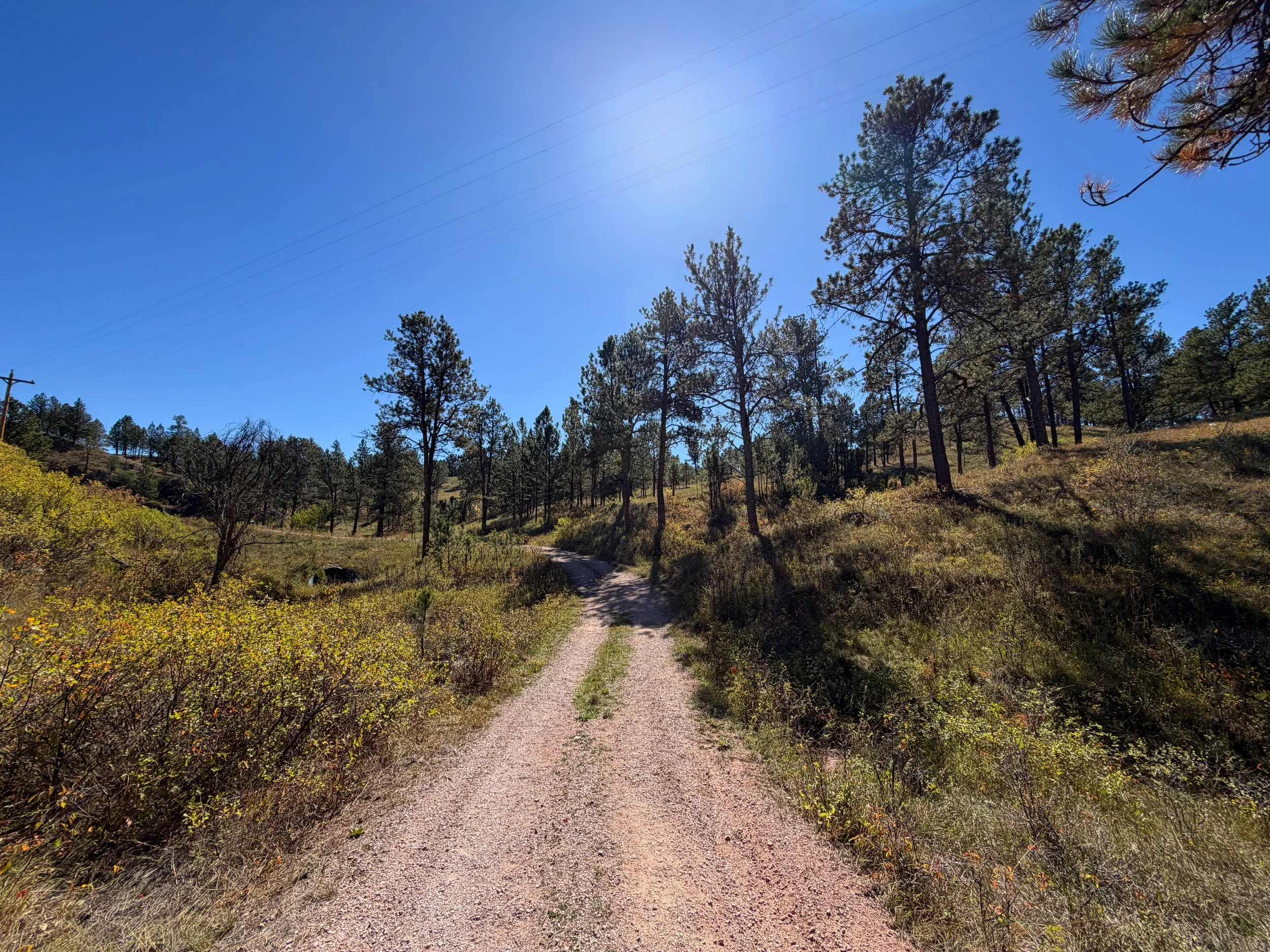 Wind Cave Canyon Hike Wind Cave National Park South Dakota