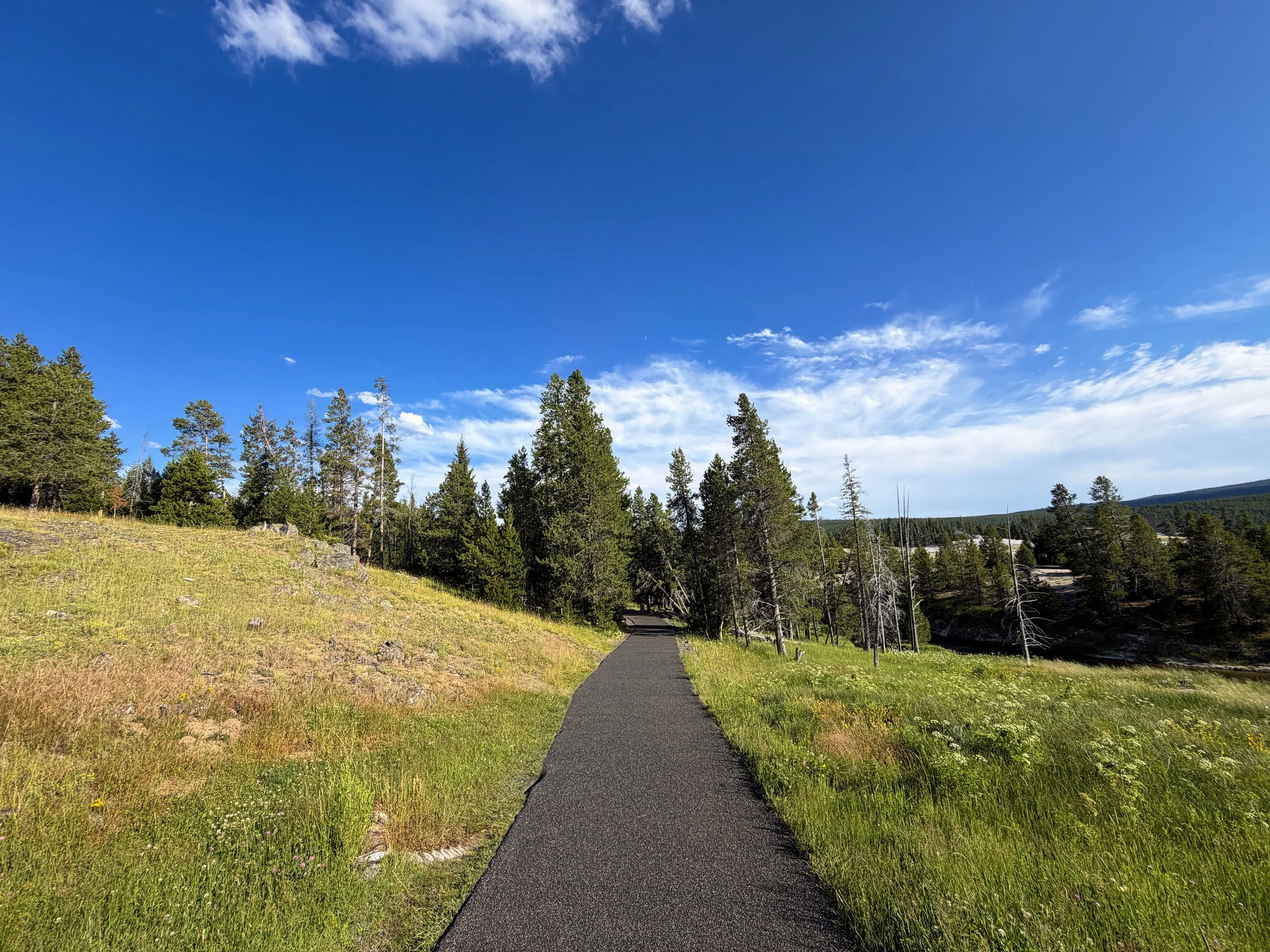 Observation Point Trail Yellowstone National Park Wyoming