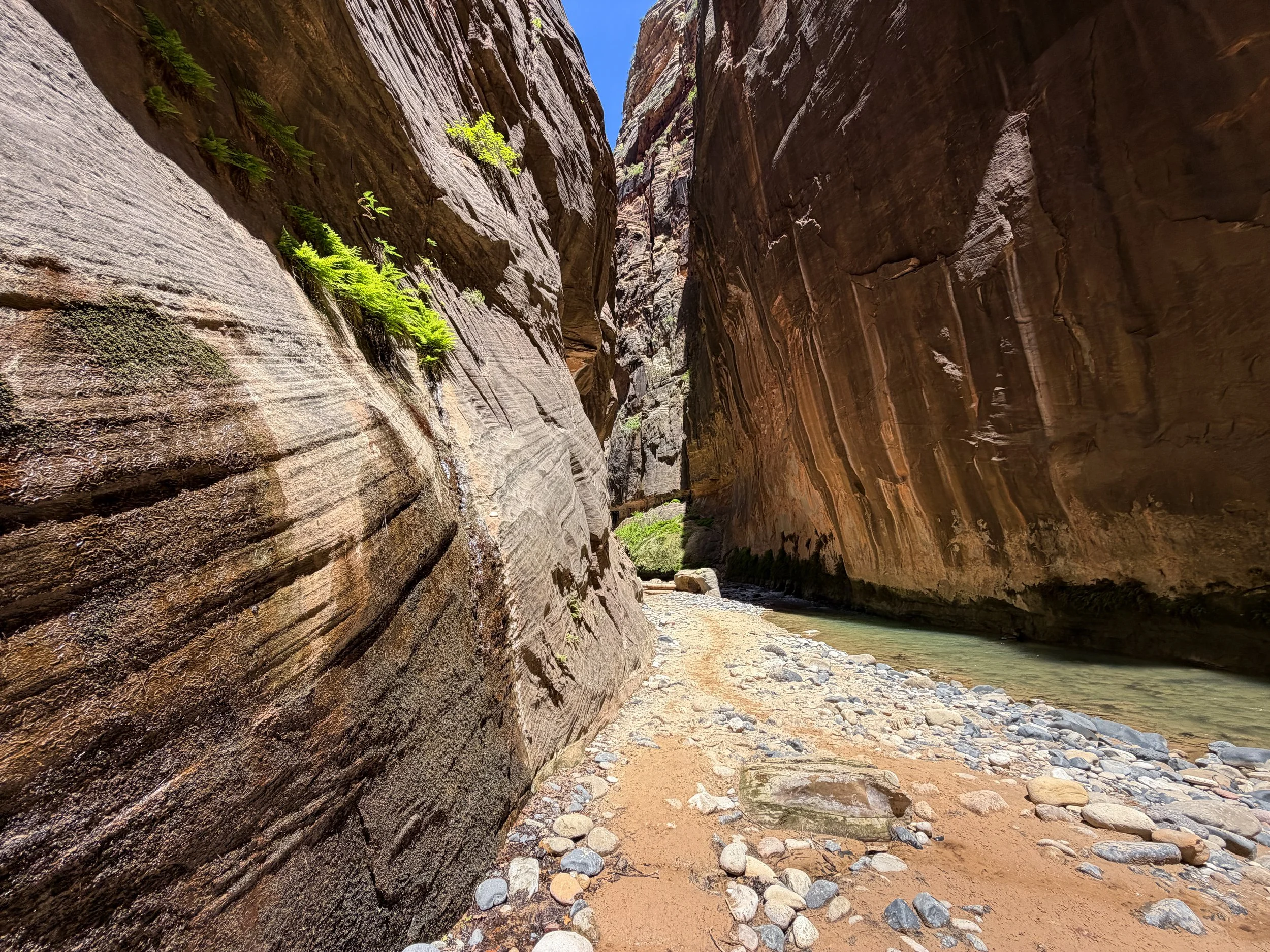 Wall Street Narrows Hike Zion National Park Utah