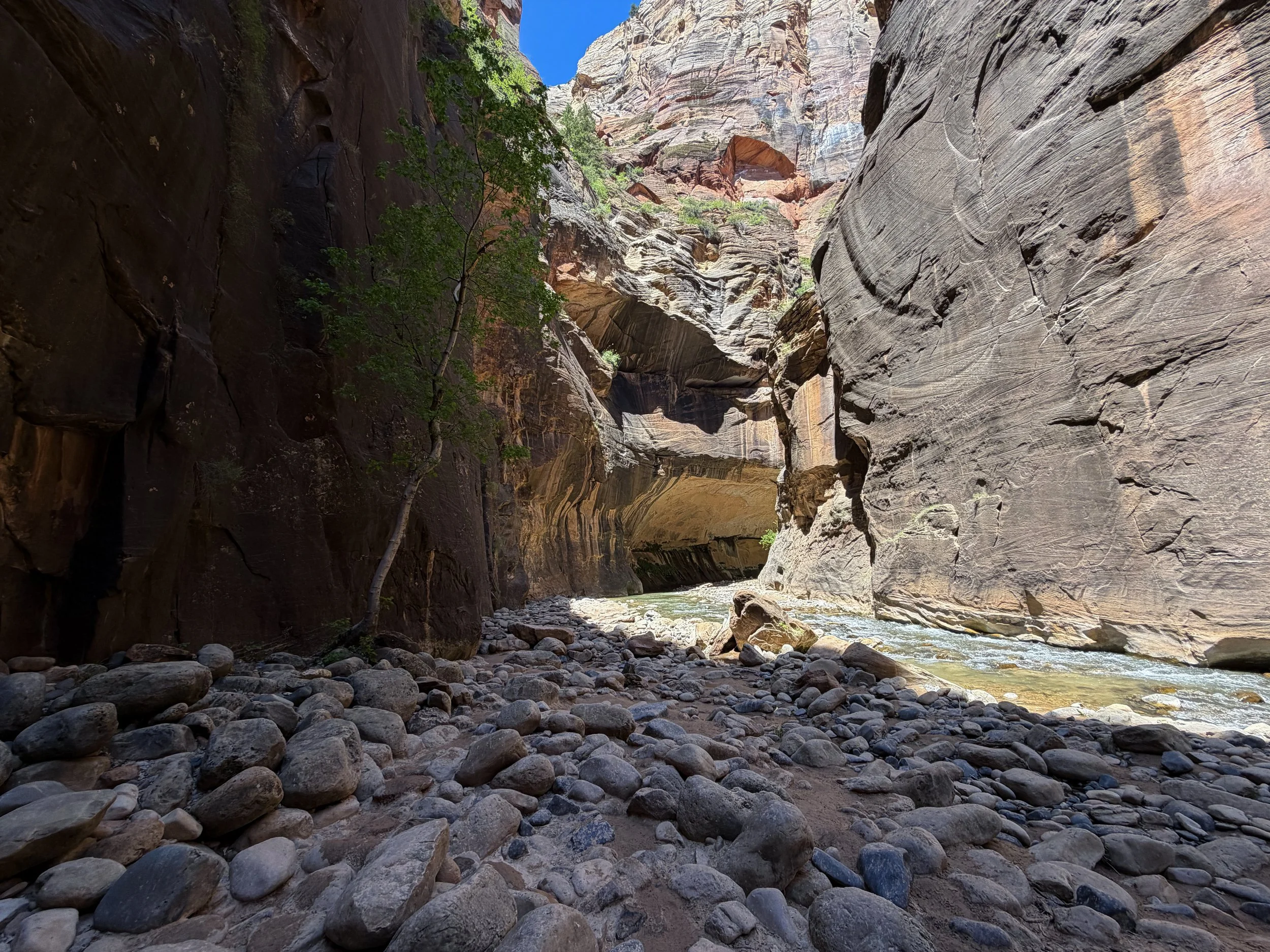 Narrows Trail Zion National Park Utah
