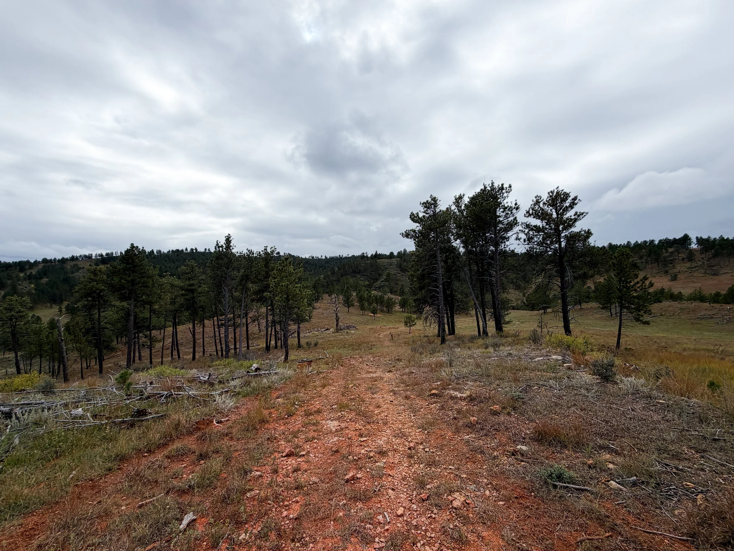 Highland Creek Trail Wind Cave National Park South Dakota