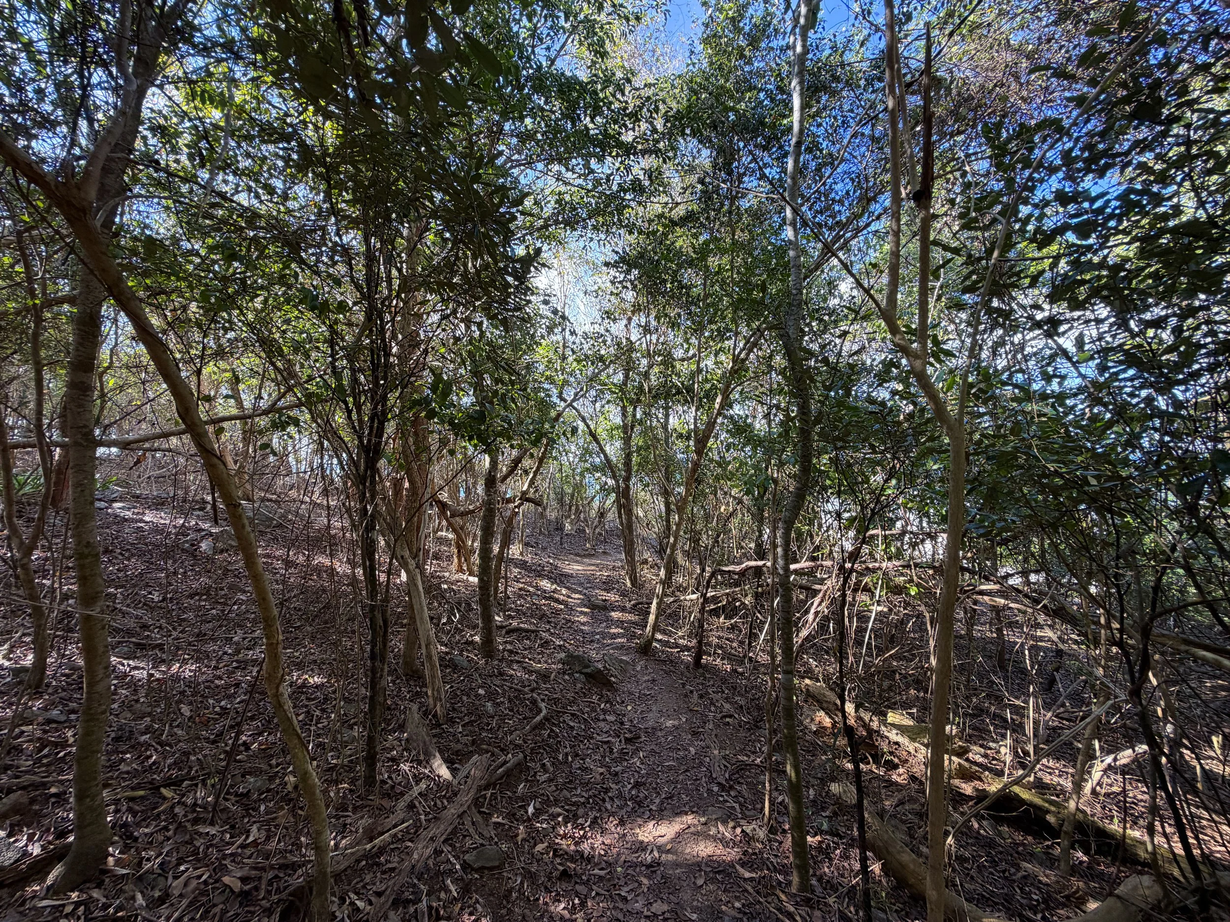 Denis Bay Hike to Oppenheimer Beach Virgin Islands National Park