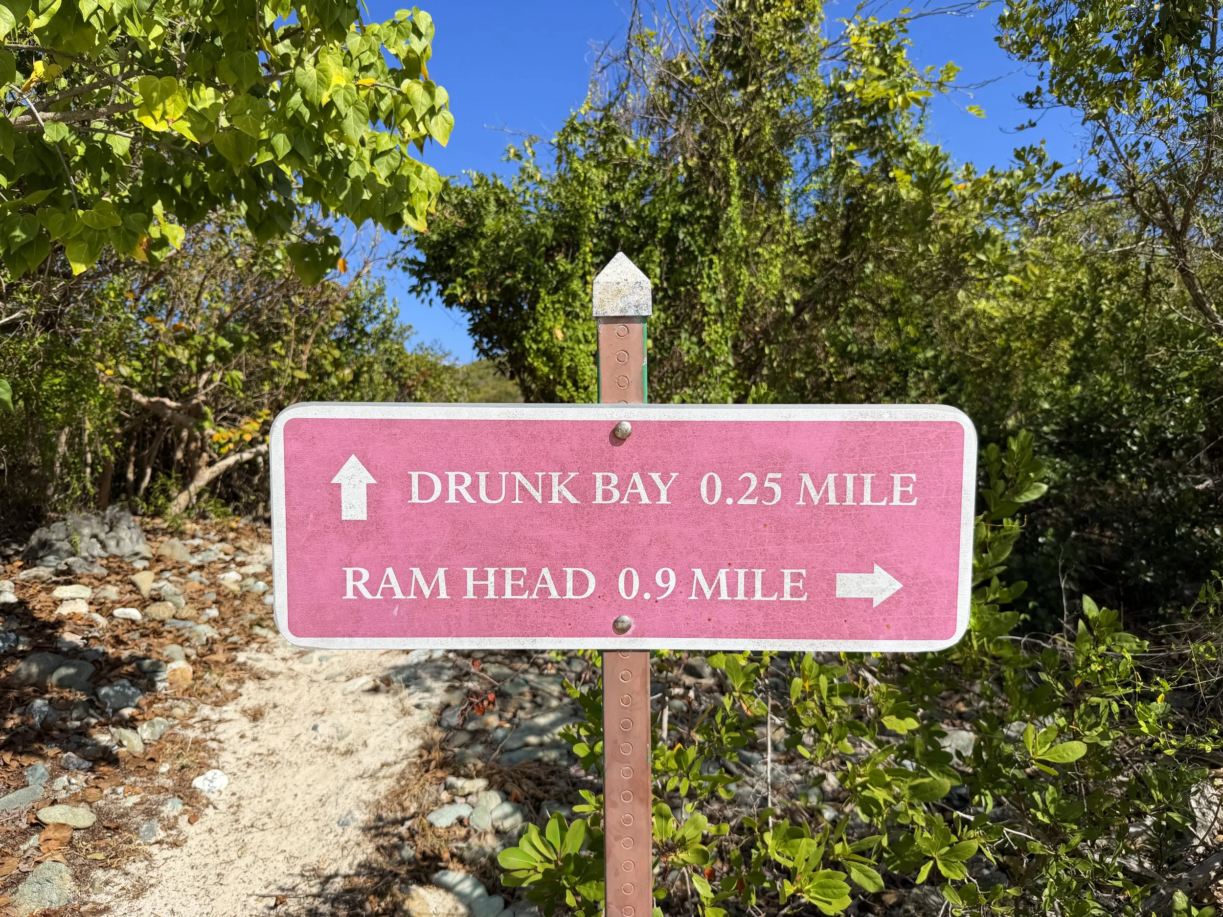 Drunk Bay Trail Virgin Islands National Park