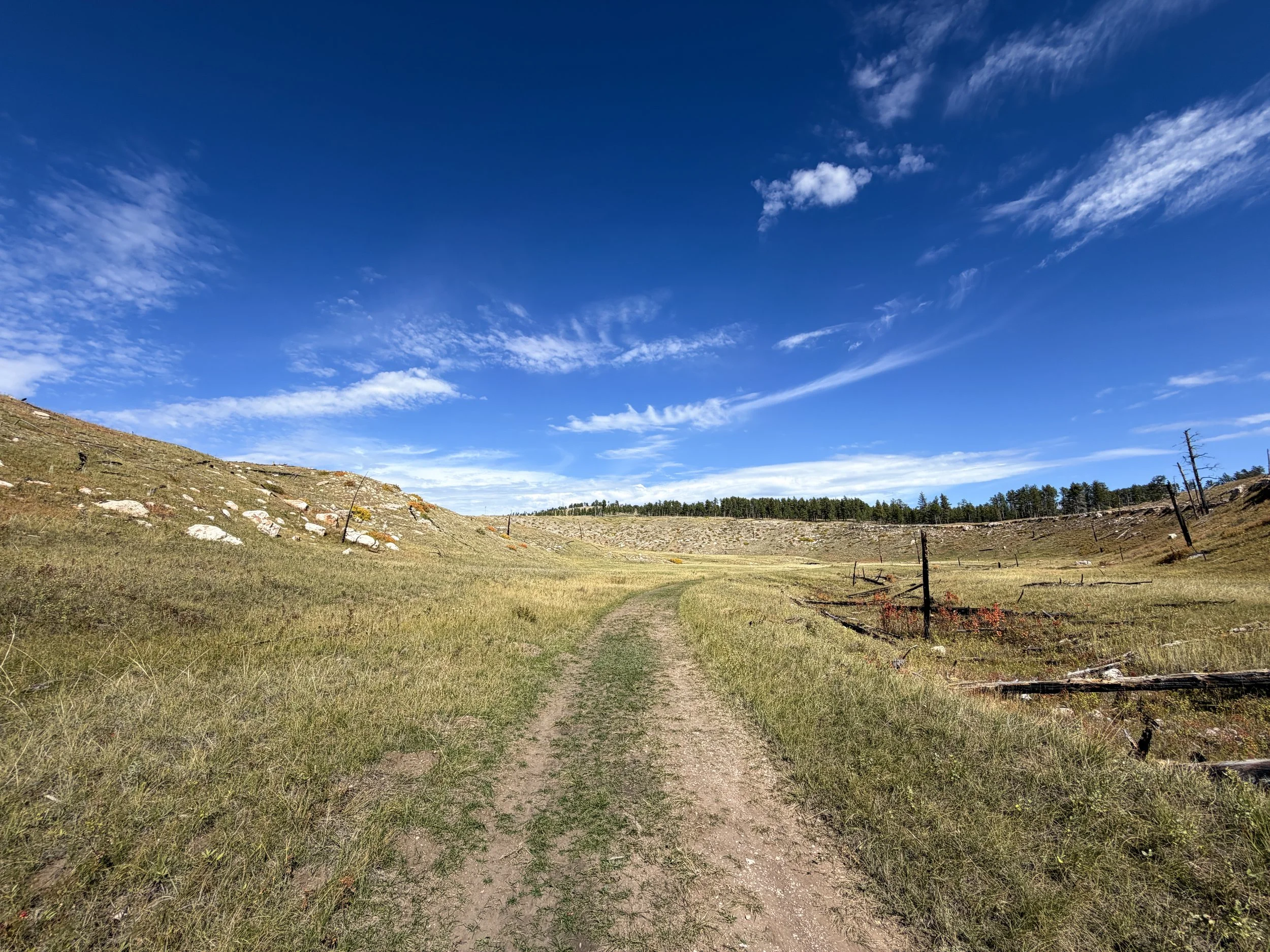 Canyons Loop Trail Jewel Cave National Monument Black Hills South Dakota