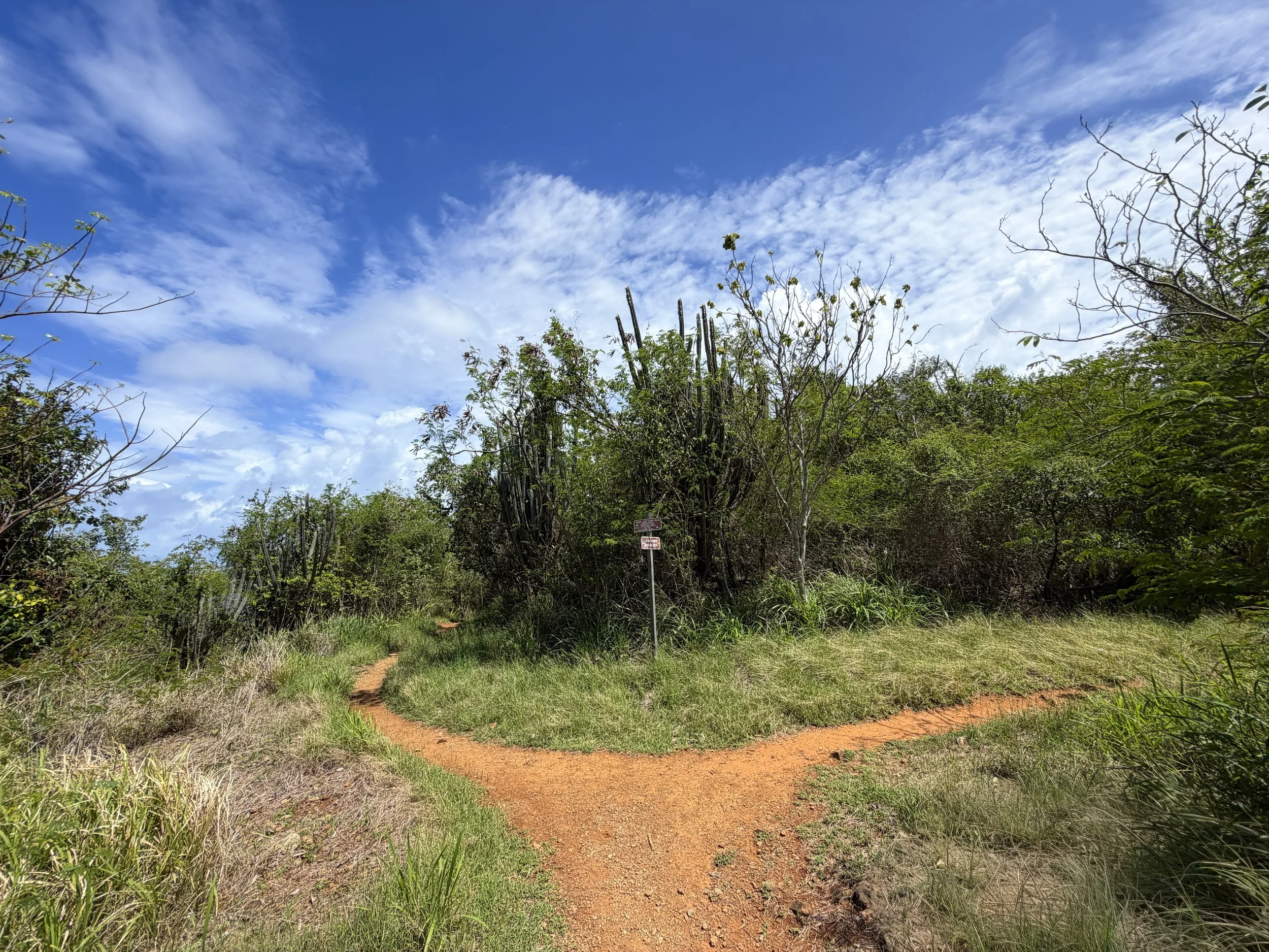 Lind Point Trail Virgin Islands National Park