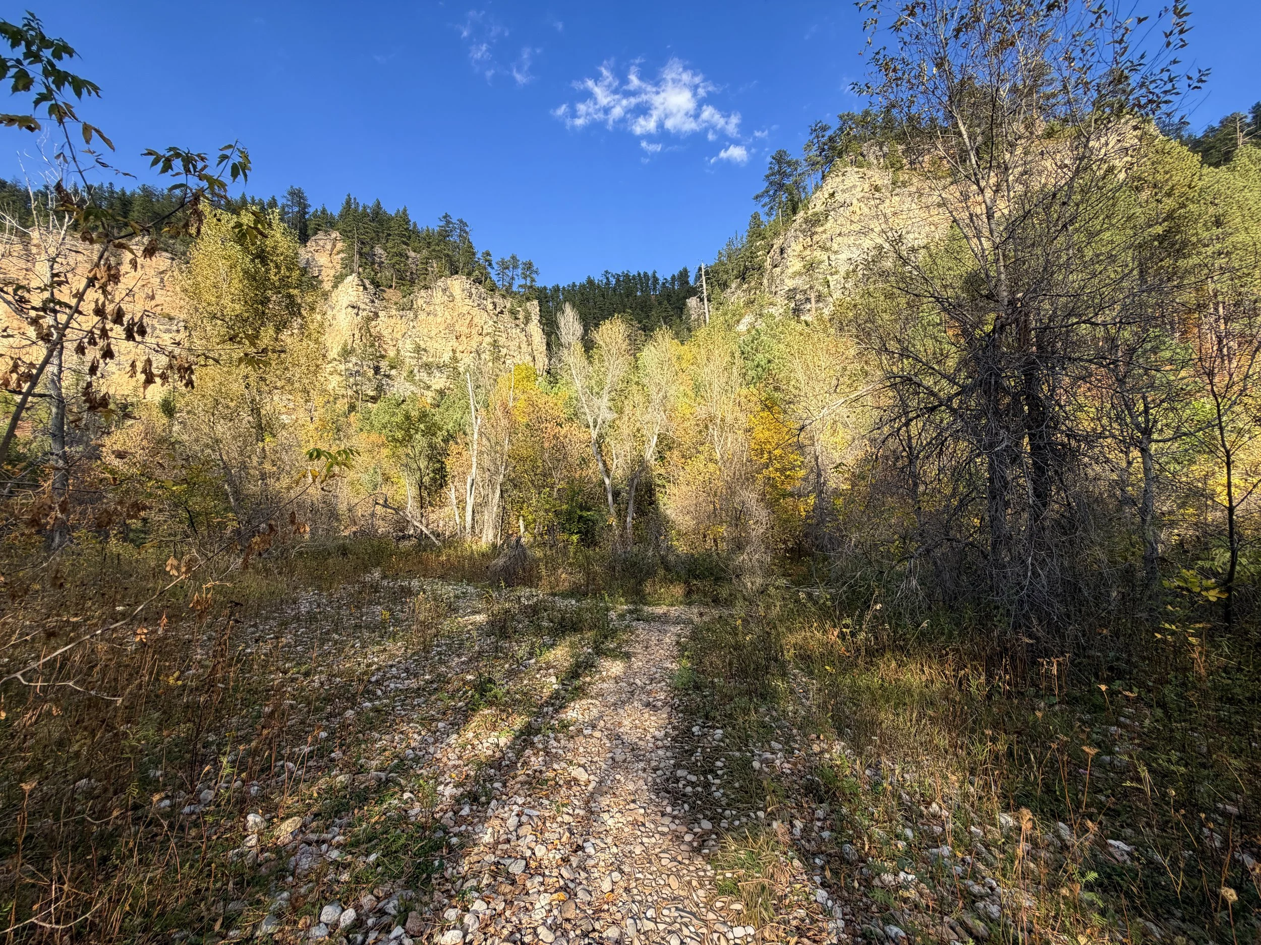 Community Caves Trail Spearfish Canyon Black Hills South Dakota