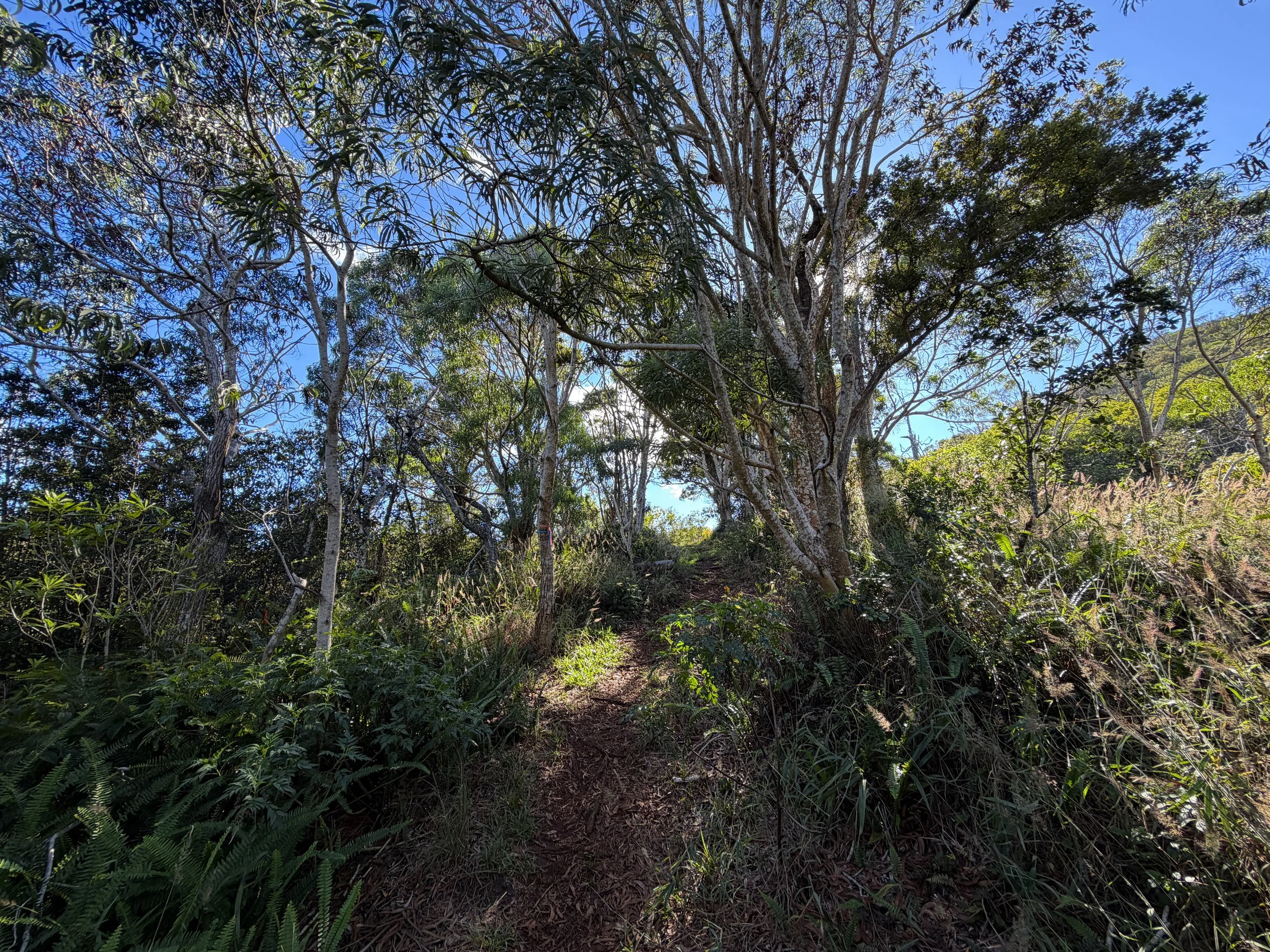 Mokuleia Hike Oahu Hawaii