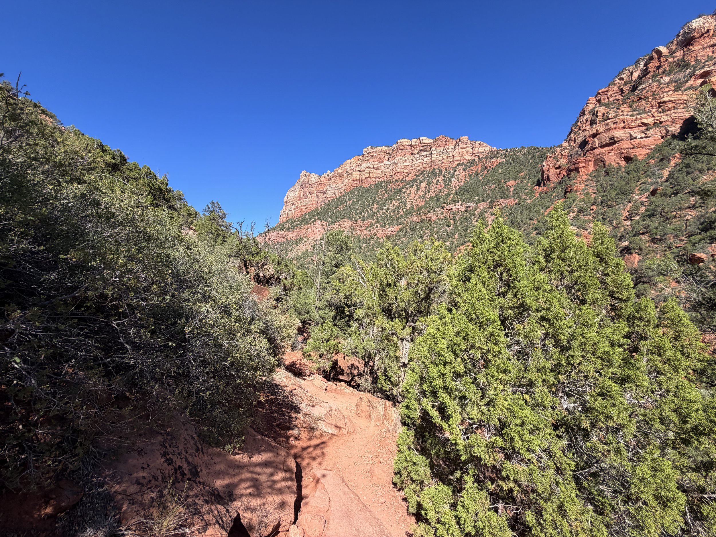 Subway Trail Bottom Up Zion National Park Utah