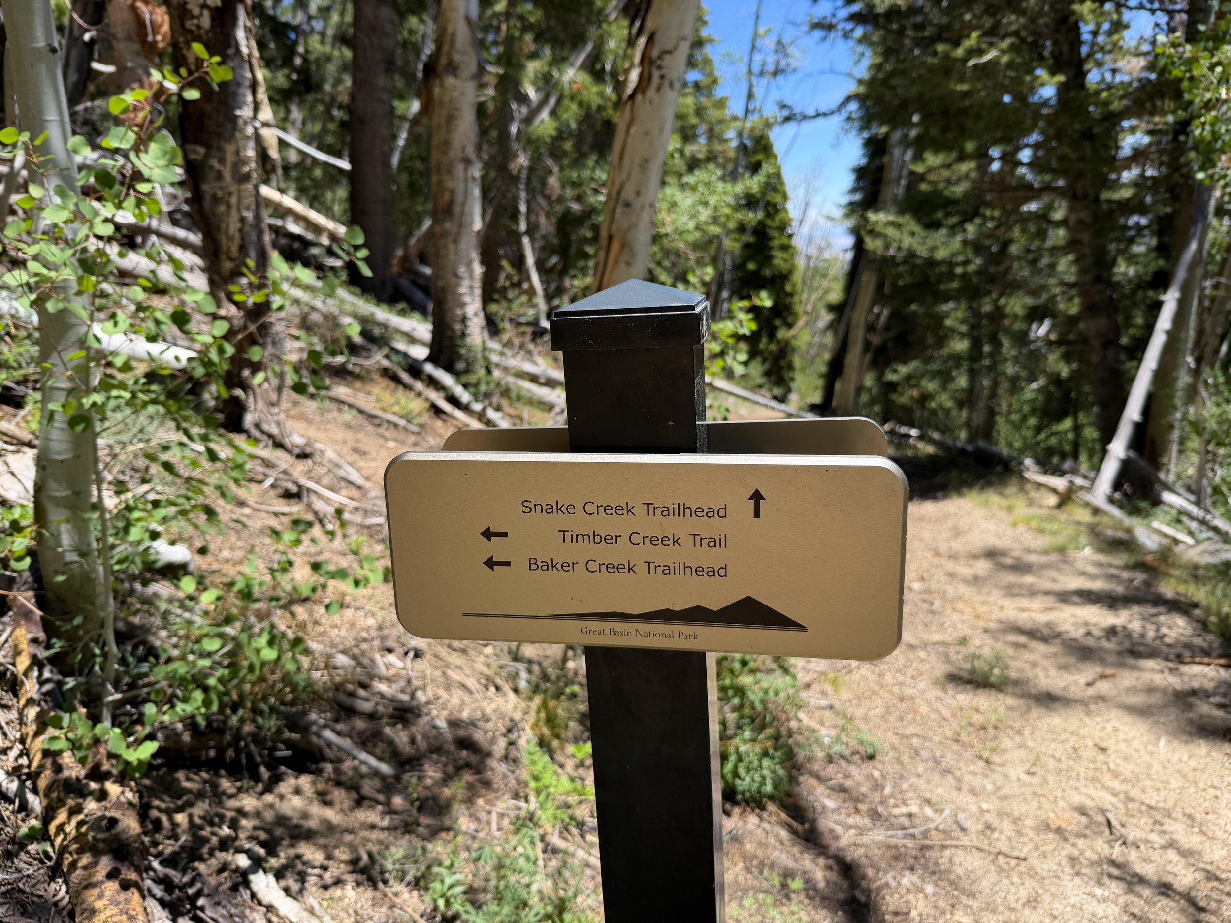 Timber Creek Loop Trail to Johnson Lake Great Basin National Park Nevada