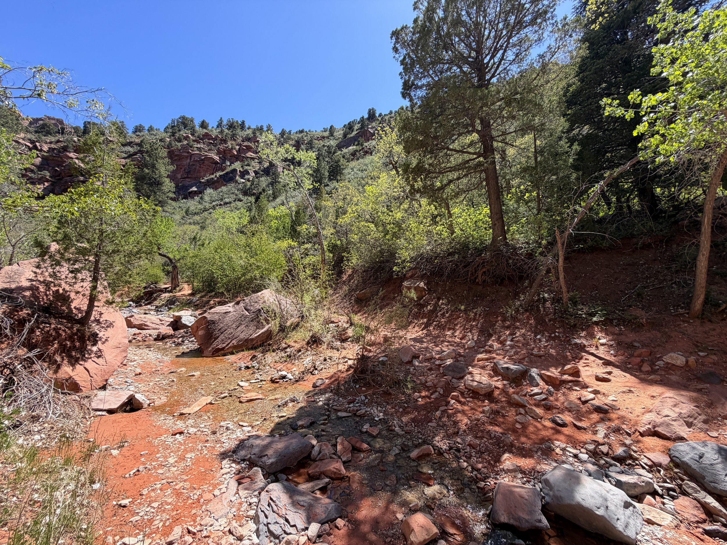 Middle Taylor Creek Trail Zion National Park Utah