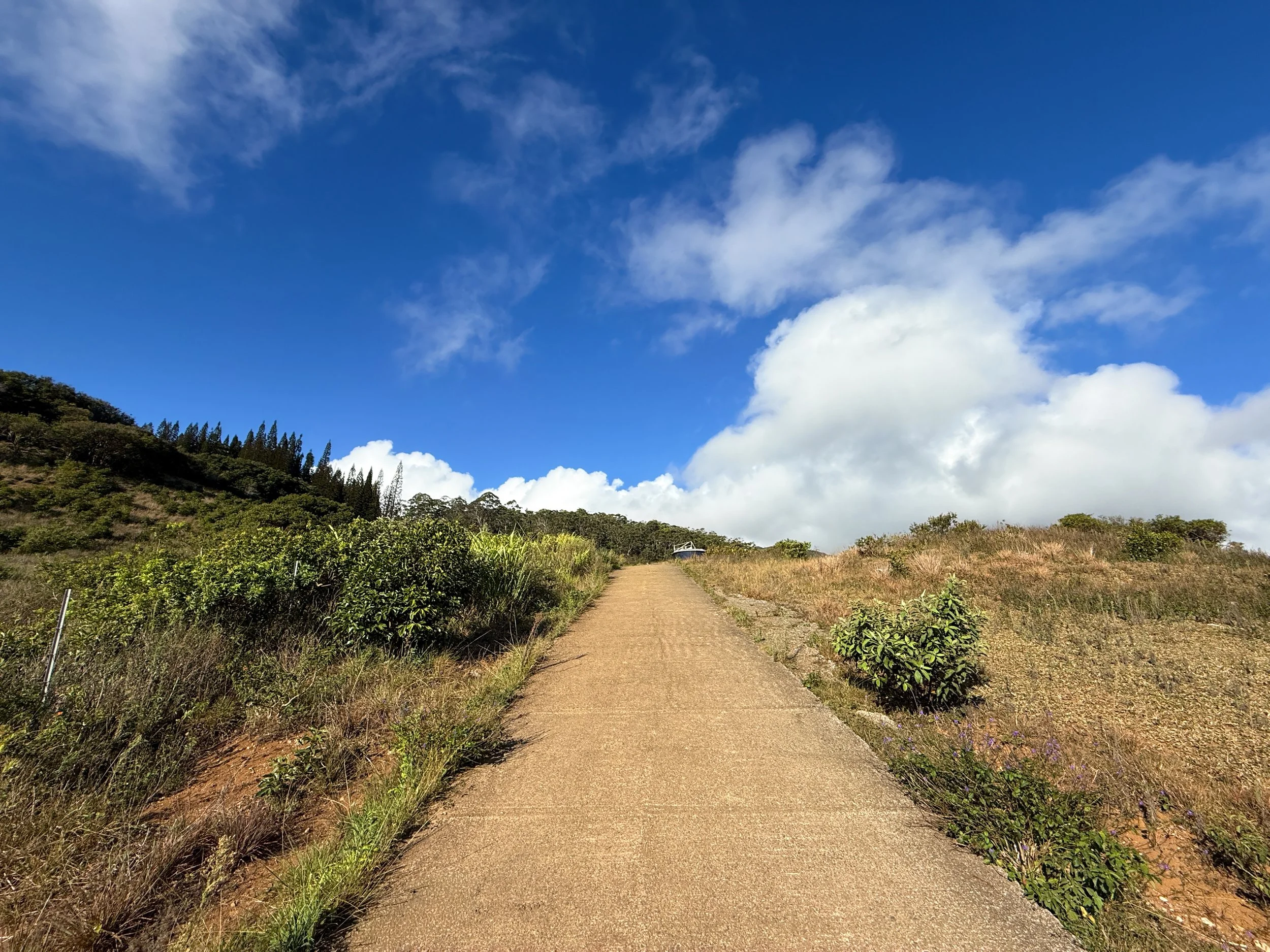 79 Water Ridge Path Hiking the Waiheʻe Ridge Trail on Maui, Hawaiʻi — noahawaii