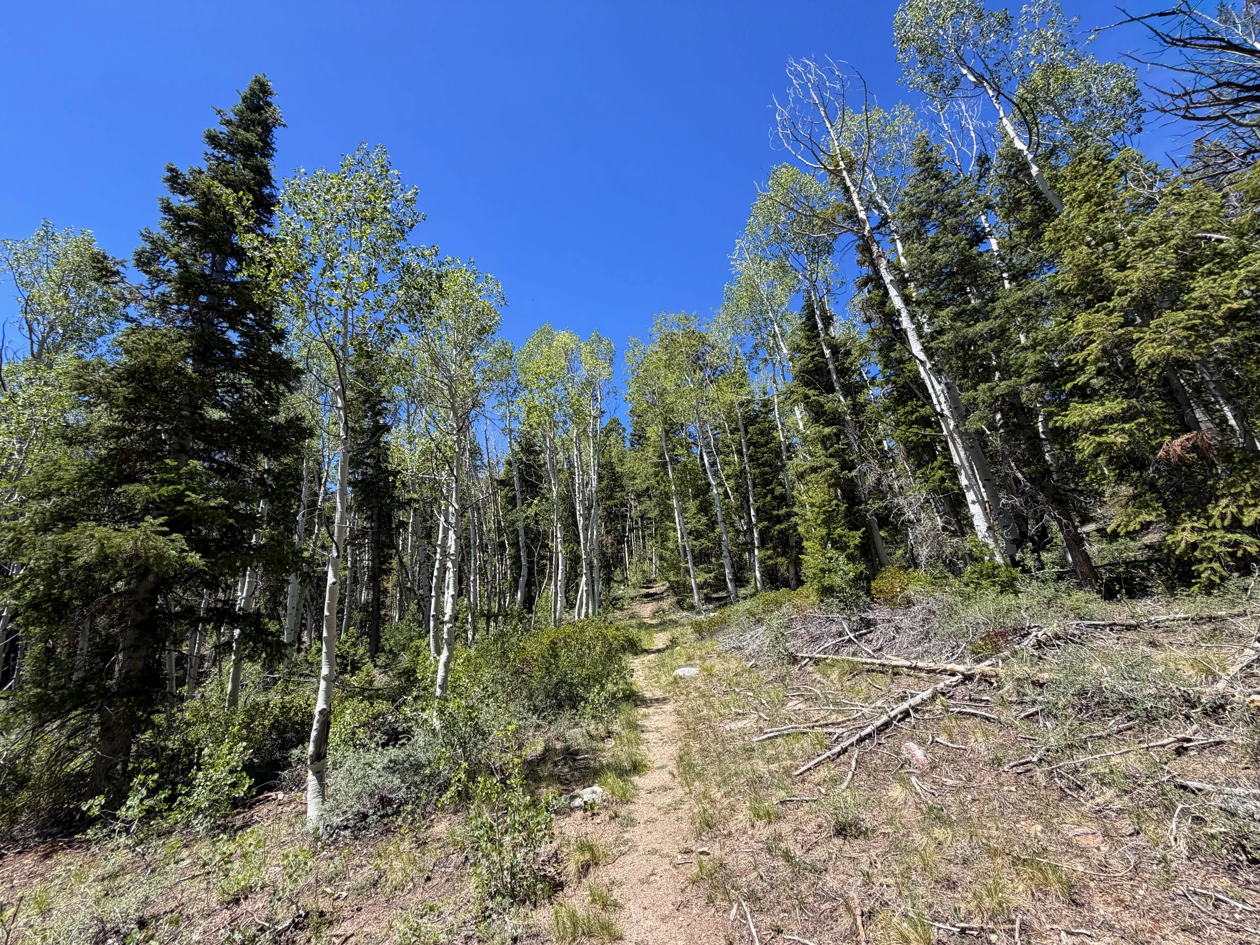 Dead Lake Trail Great Basin National Park Nevada