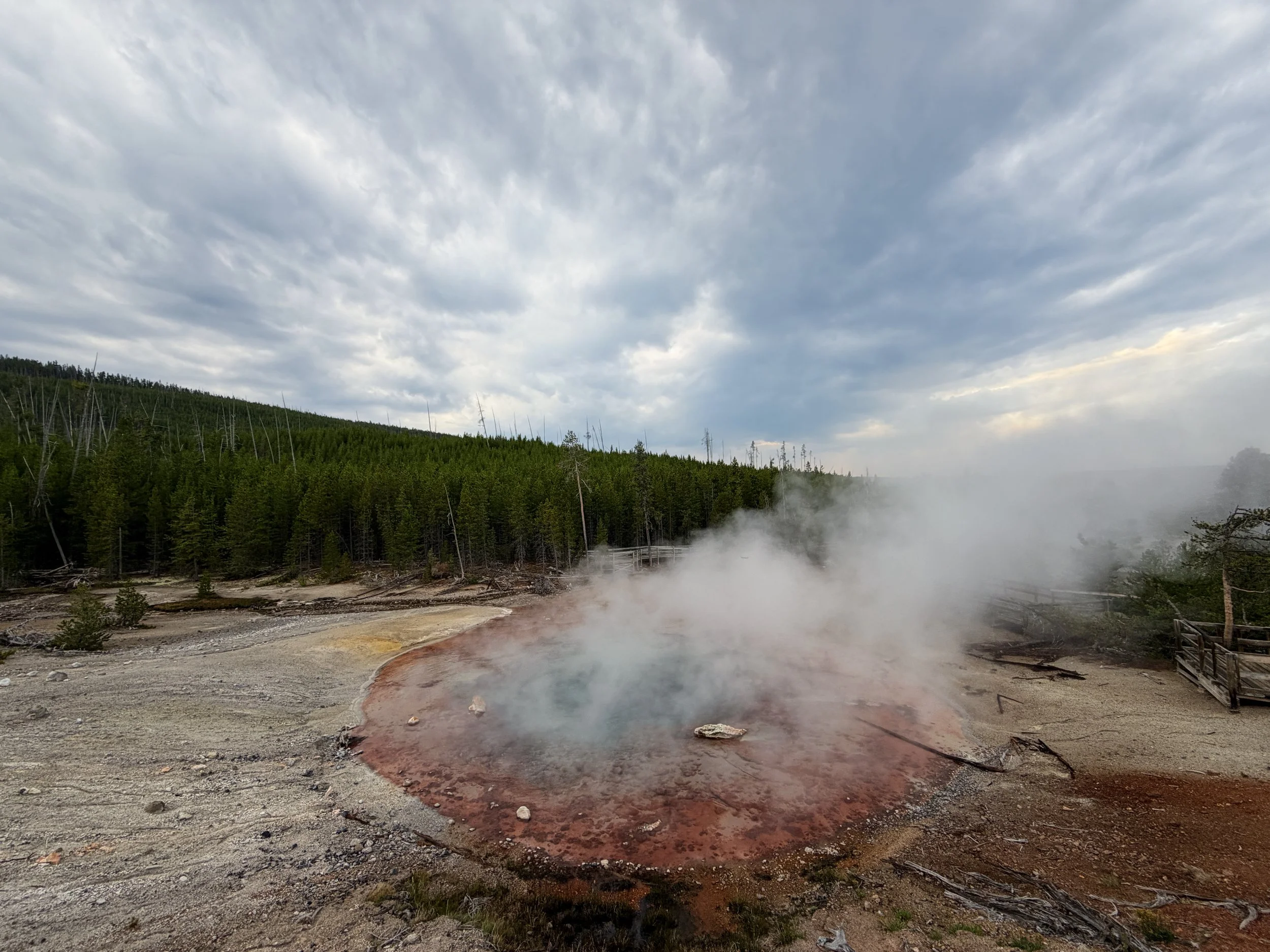 Echinus Geyser Norris Geyser Basin Yellowstone National Park Wyoming