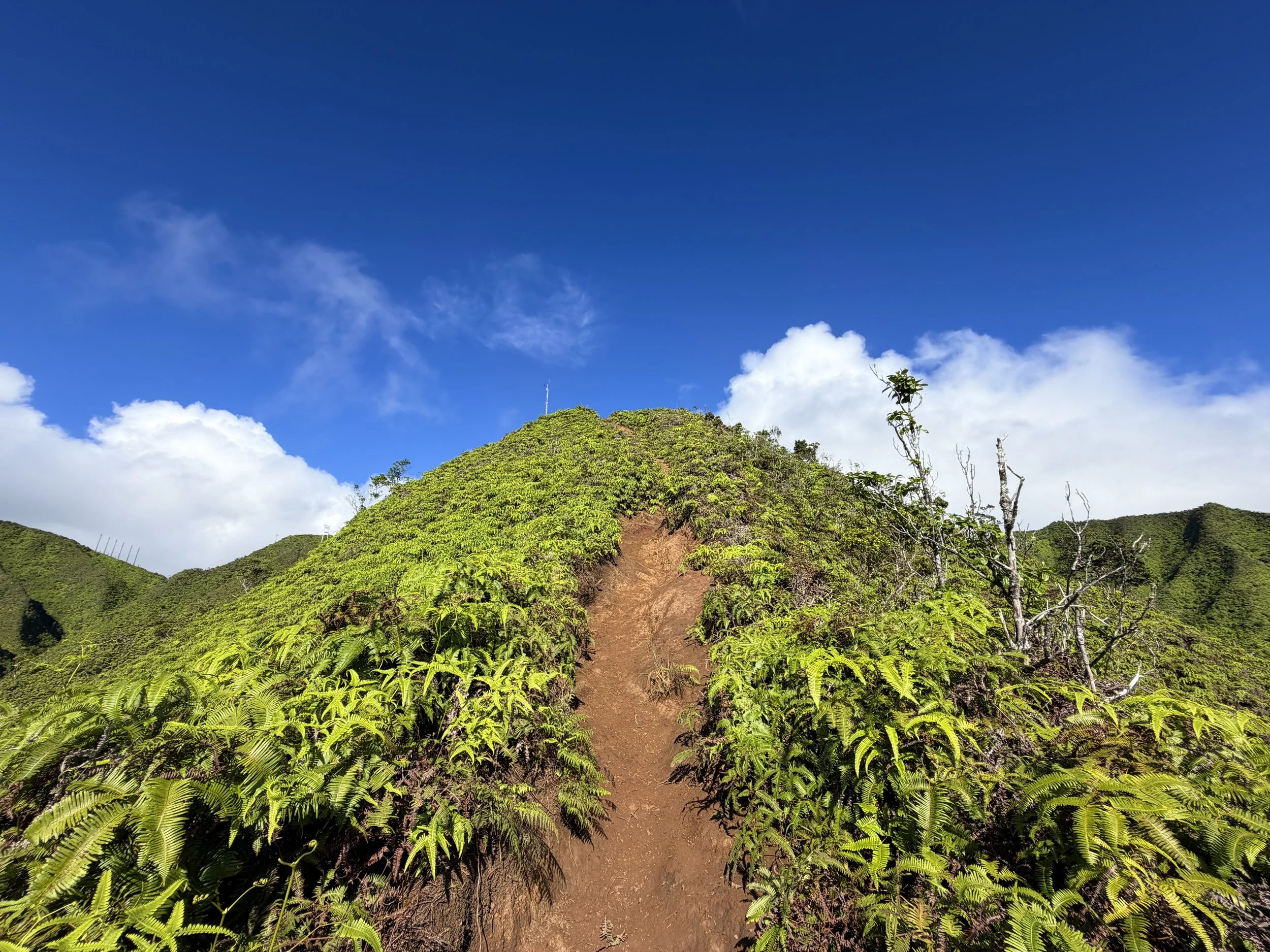 Wiliwilinui Ridge Trail Stairs Oahu Hawaii