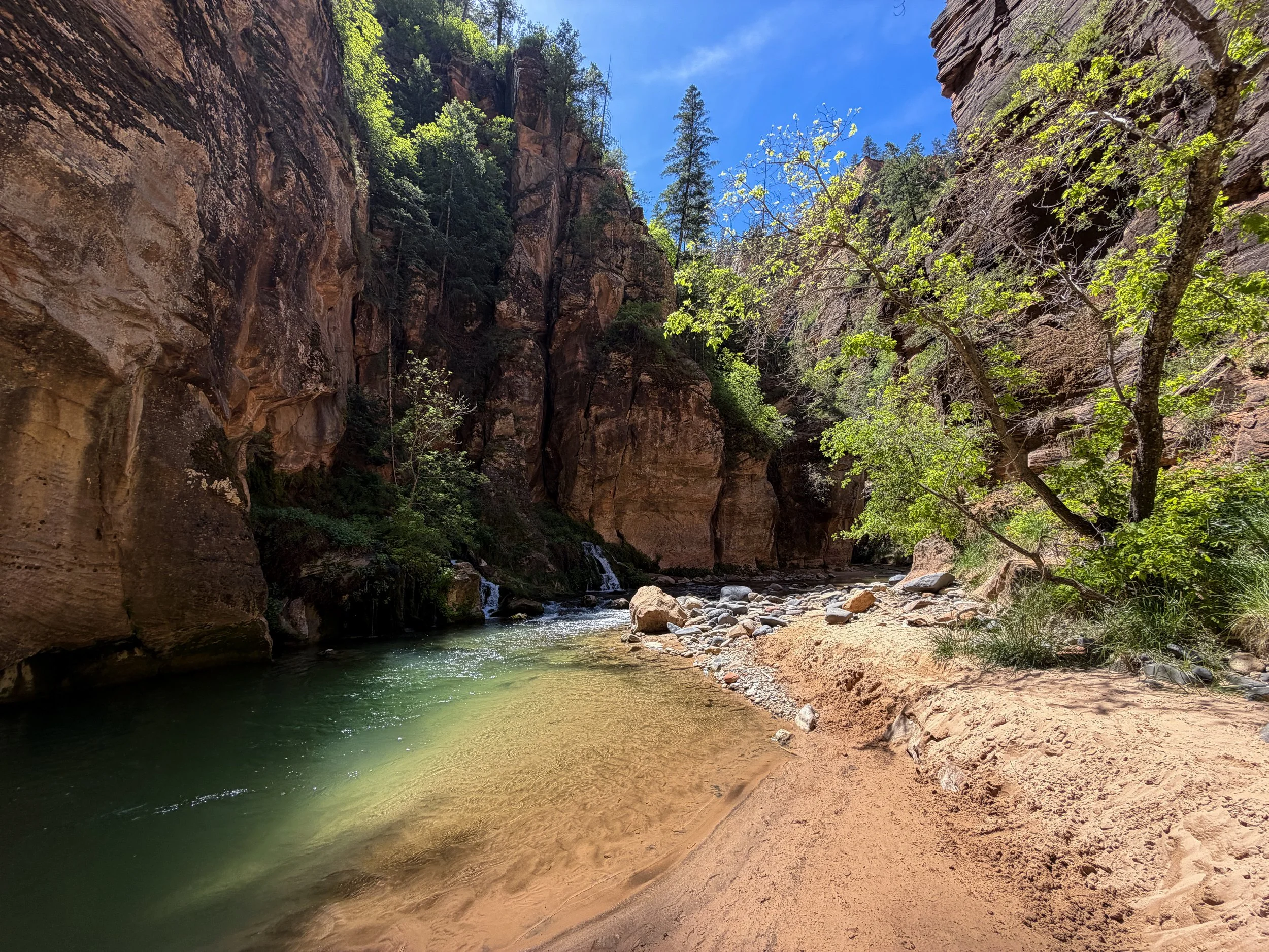 Big Springs Narrows Zion National Park Utah