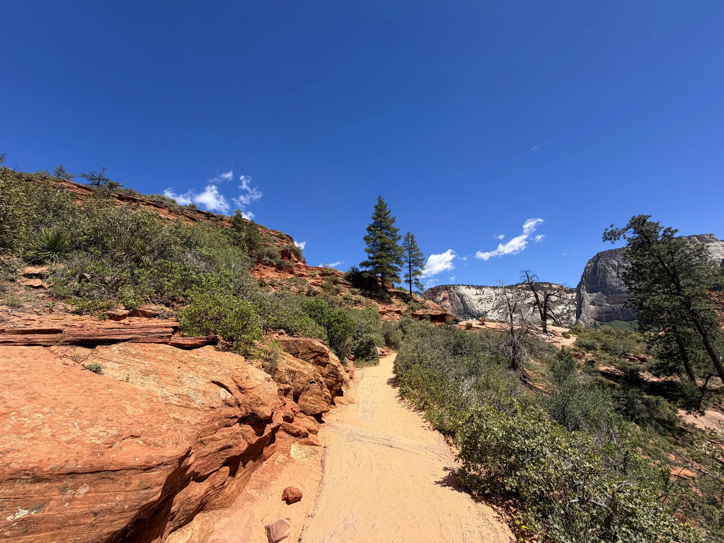 Angels Landing Hike Zion National Park Utah