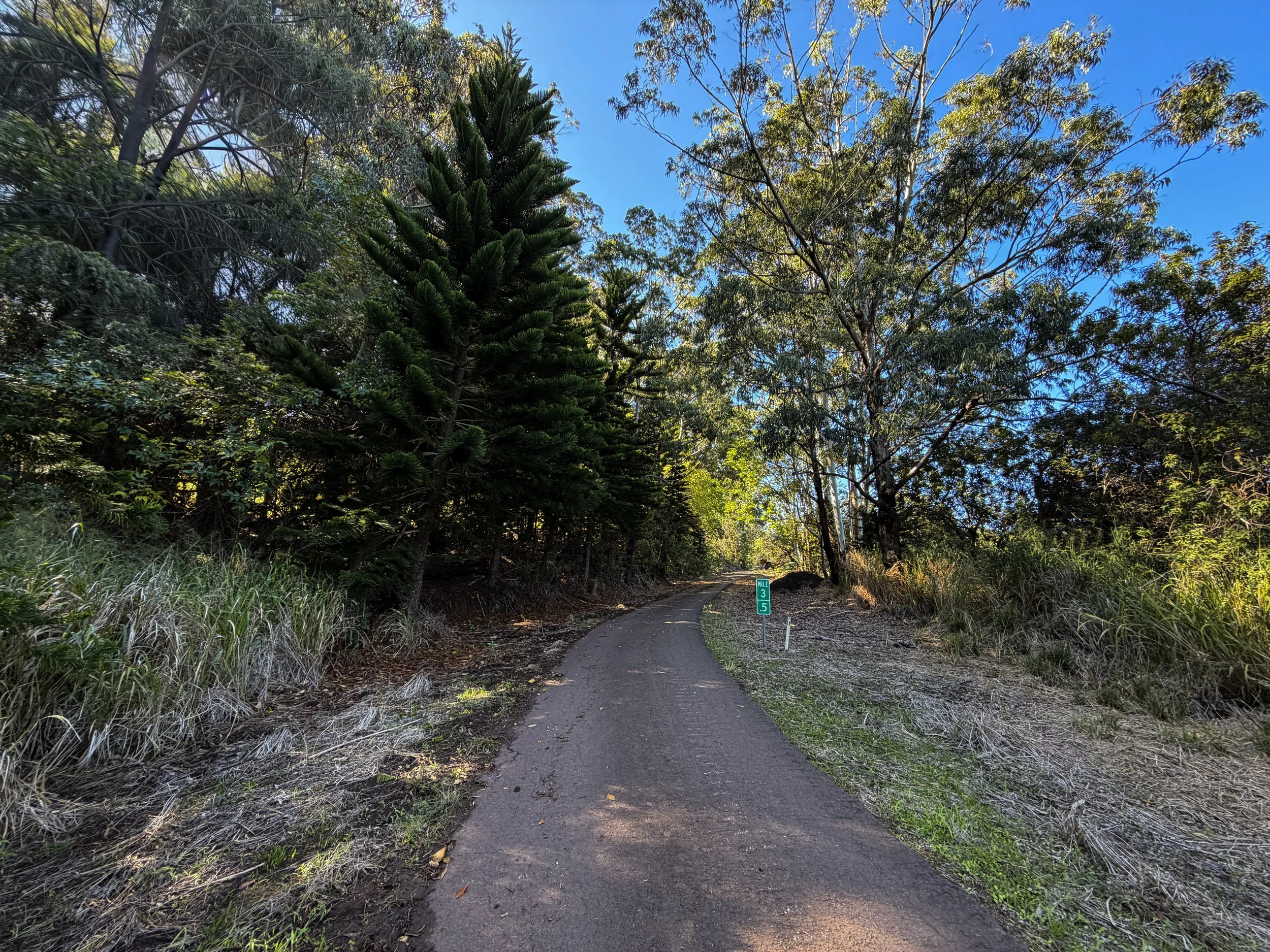 Mokuleia Forest Reserve Access Road to Peacock Flats Oahu Hawaii