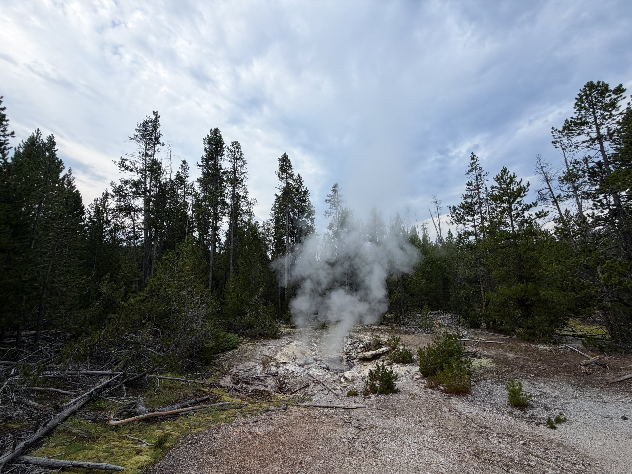 Forgotten Fumarole Norris Geyser Basin Trail Yellowstone National Park Wyoming