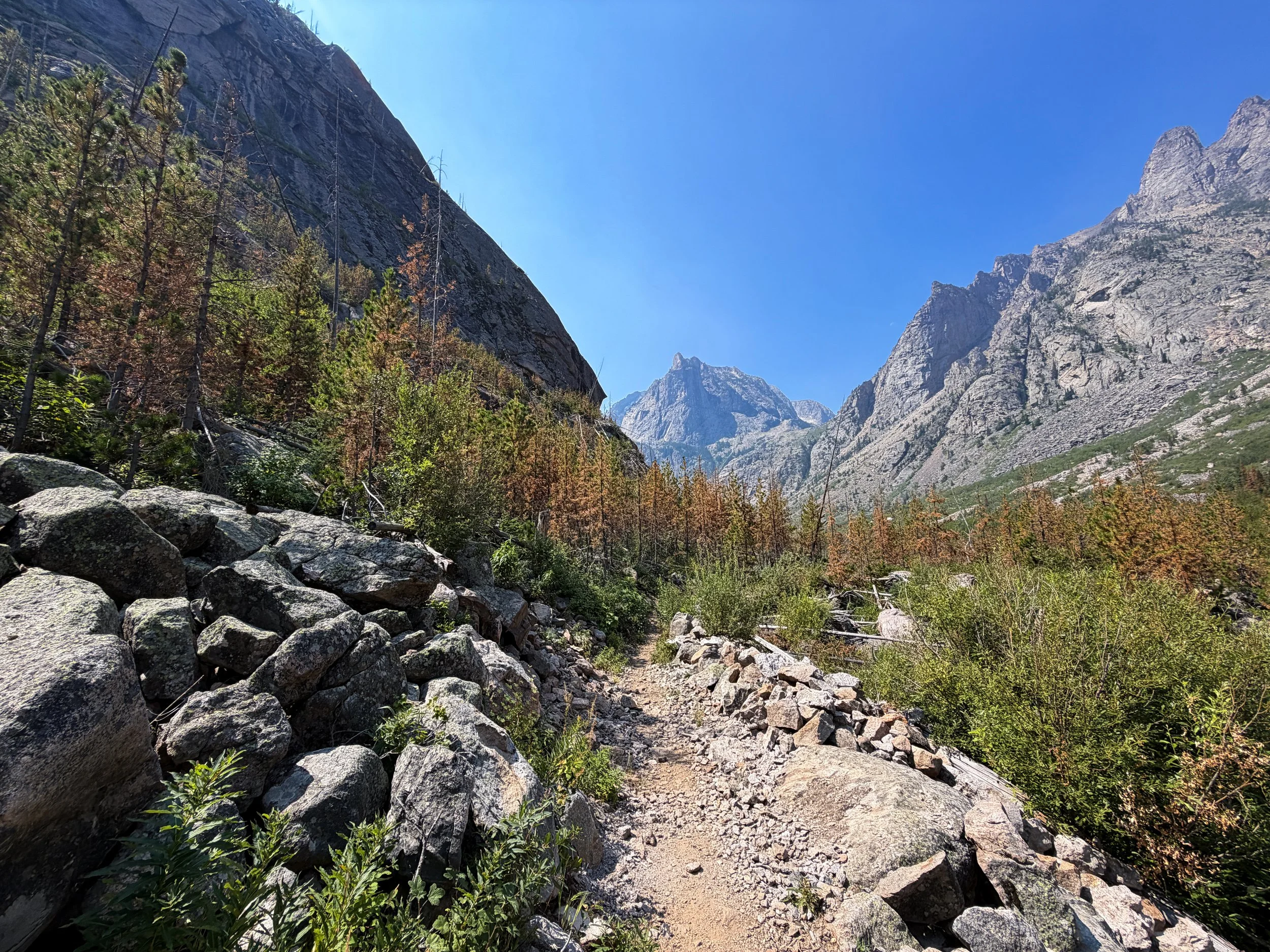 East Rosebud Trail Beaten Path Beartooth Mountains Montana