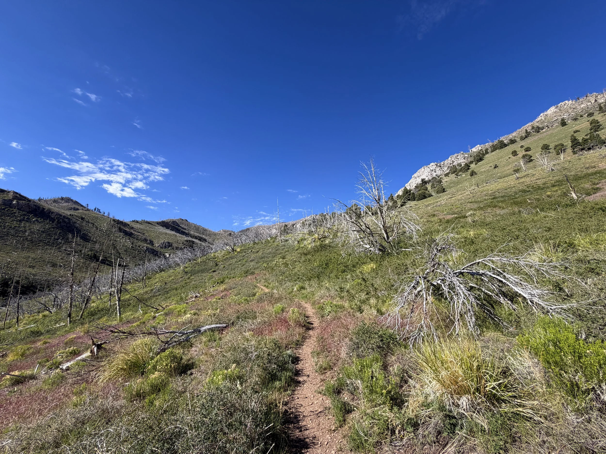 Lexington Arch Trail Great Basin National Park Nevada