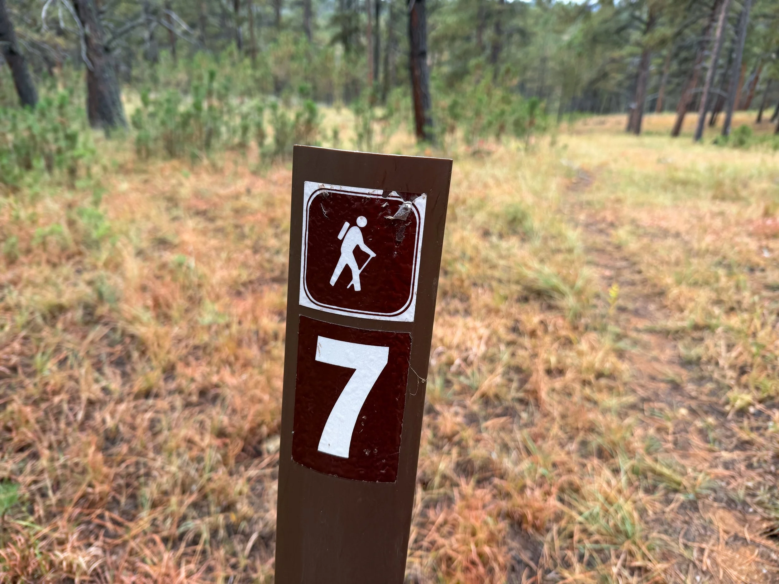 Highland Creek Trail Wind Cave National Park South Dakota