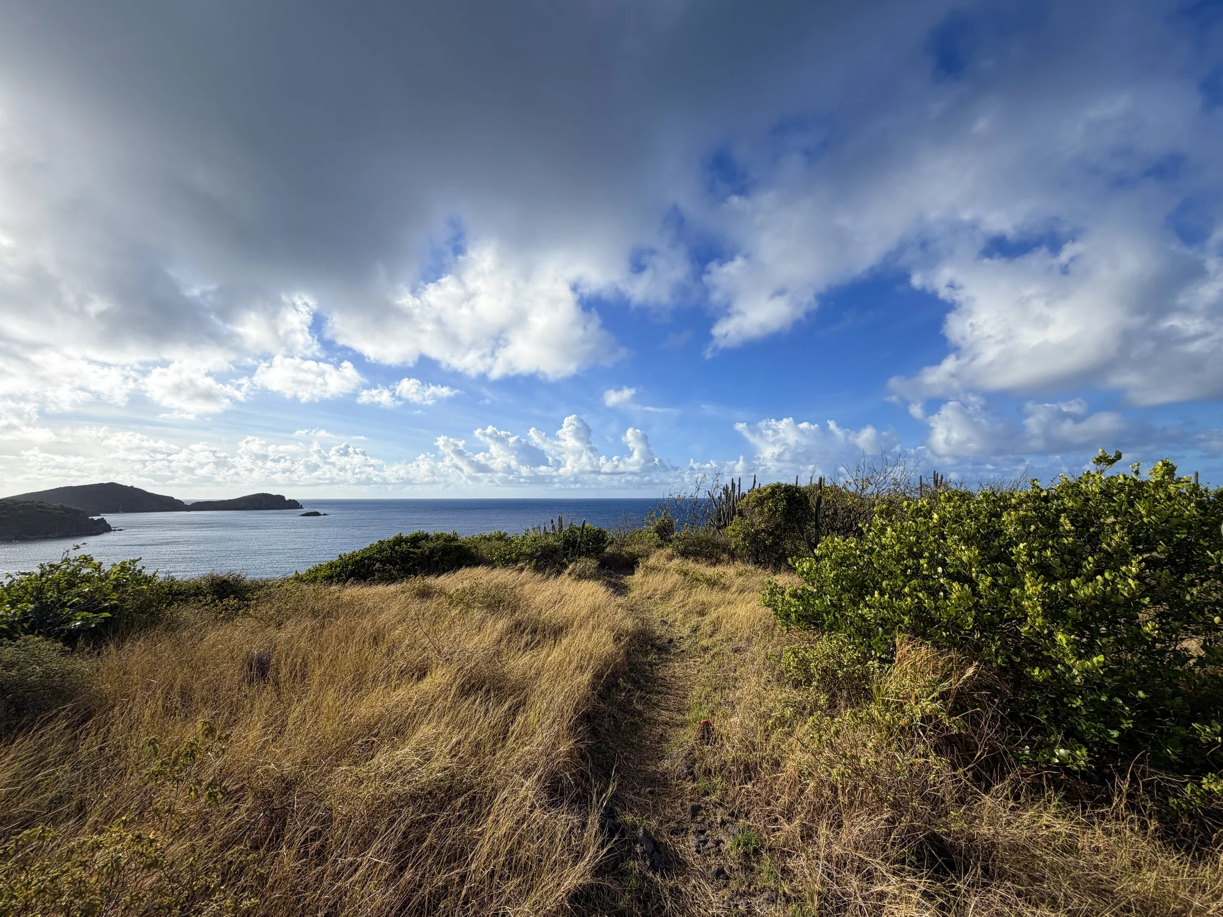 Cabritte Horn Hike Virgin Islands National Park