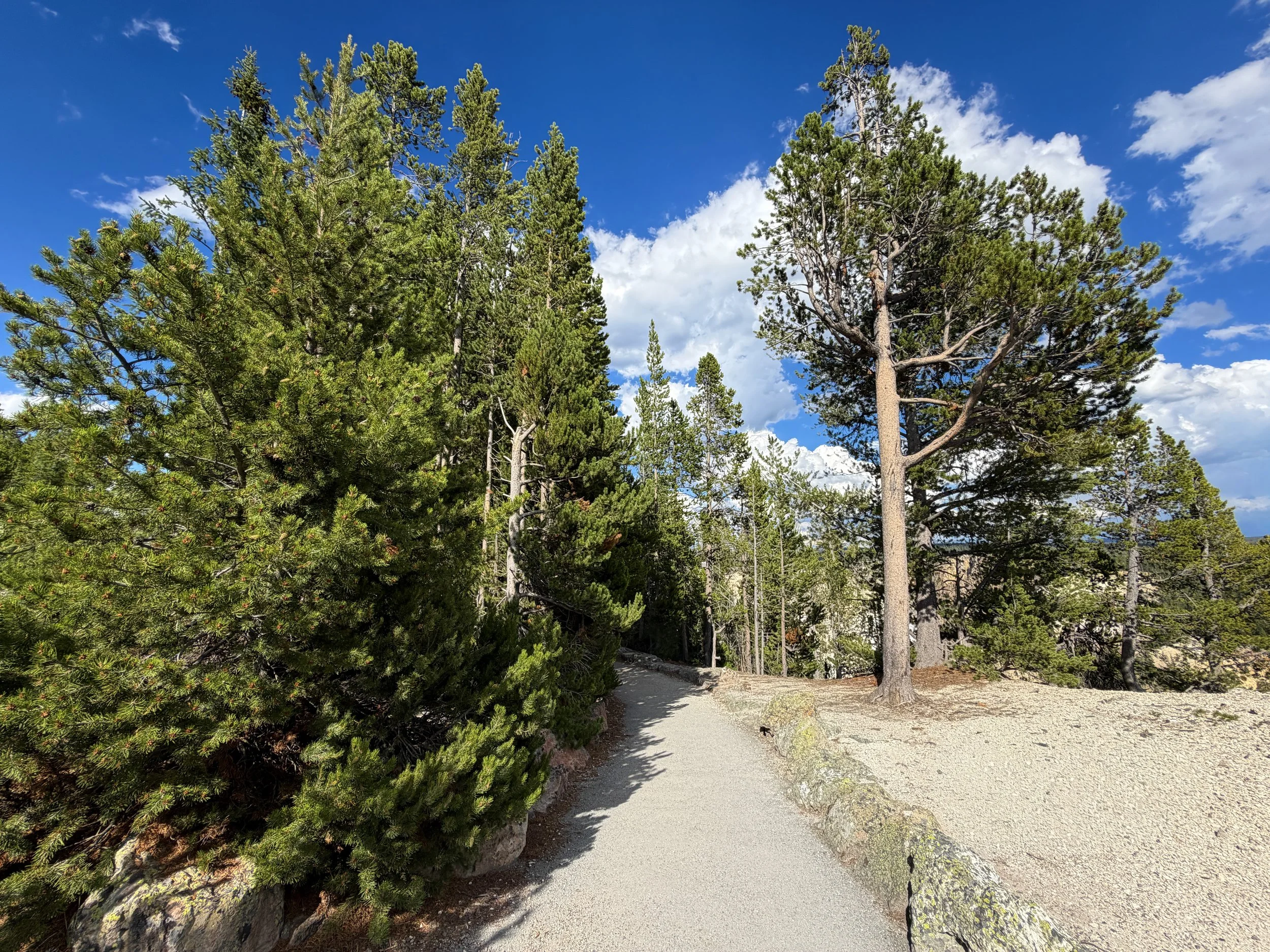 North Rim Hike Yellowstone National Park Wyoming