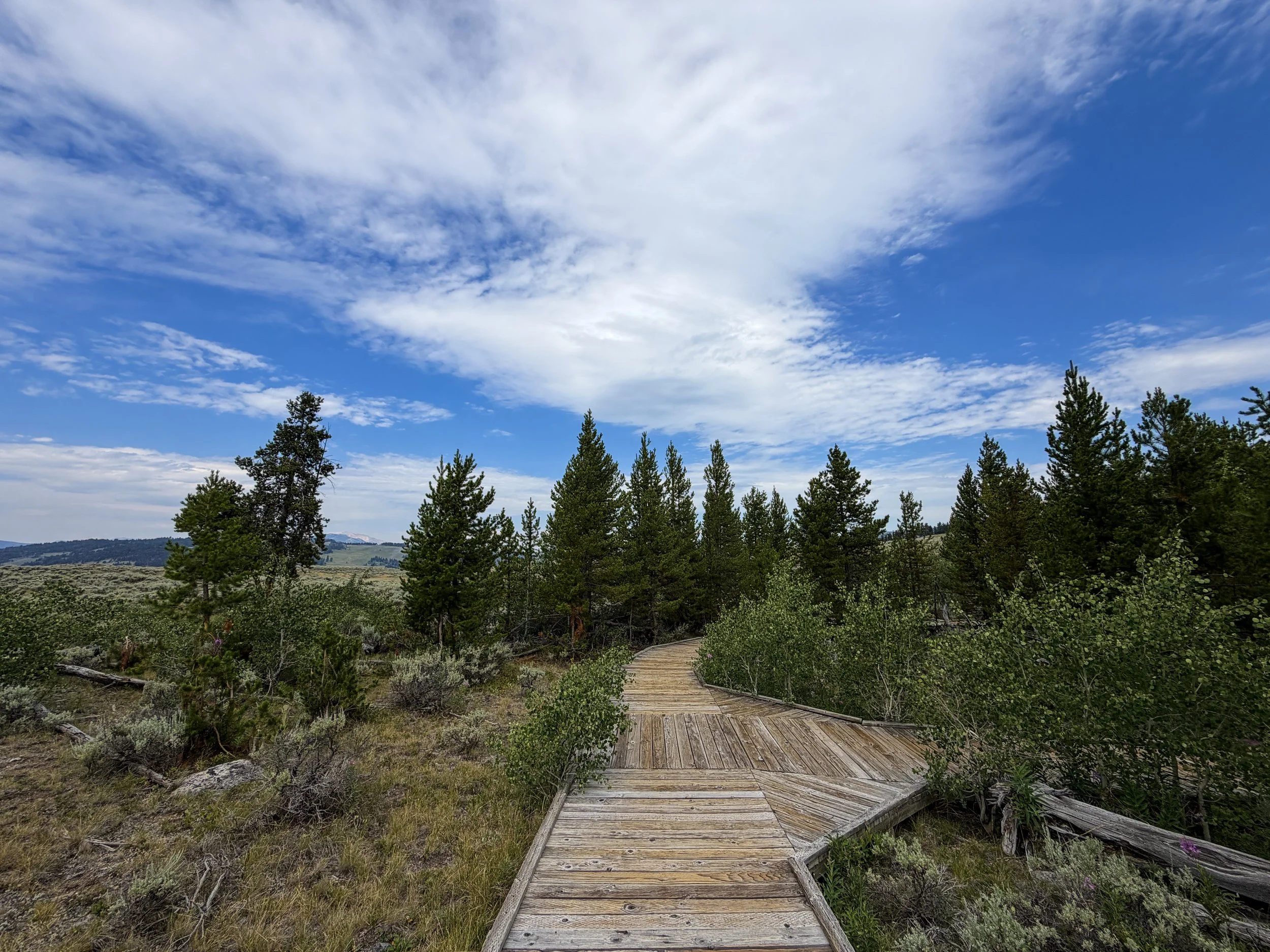 Forces of the Northern Range Trail Yellowstone National Park Wyoming