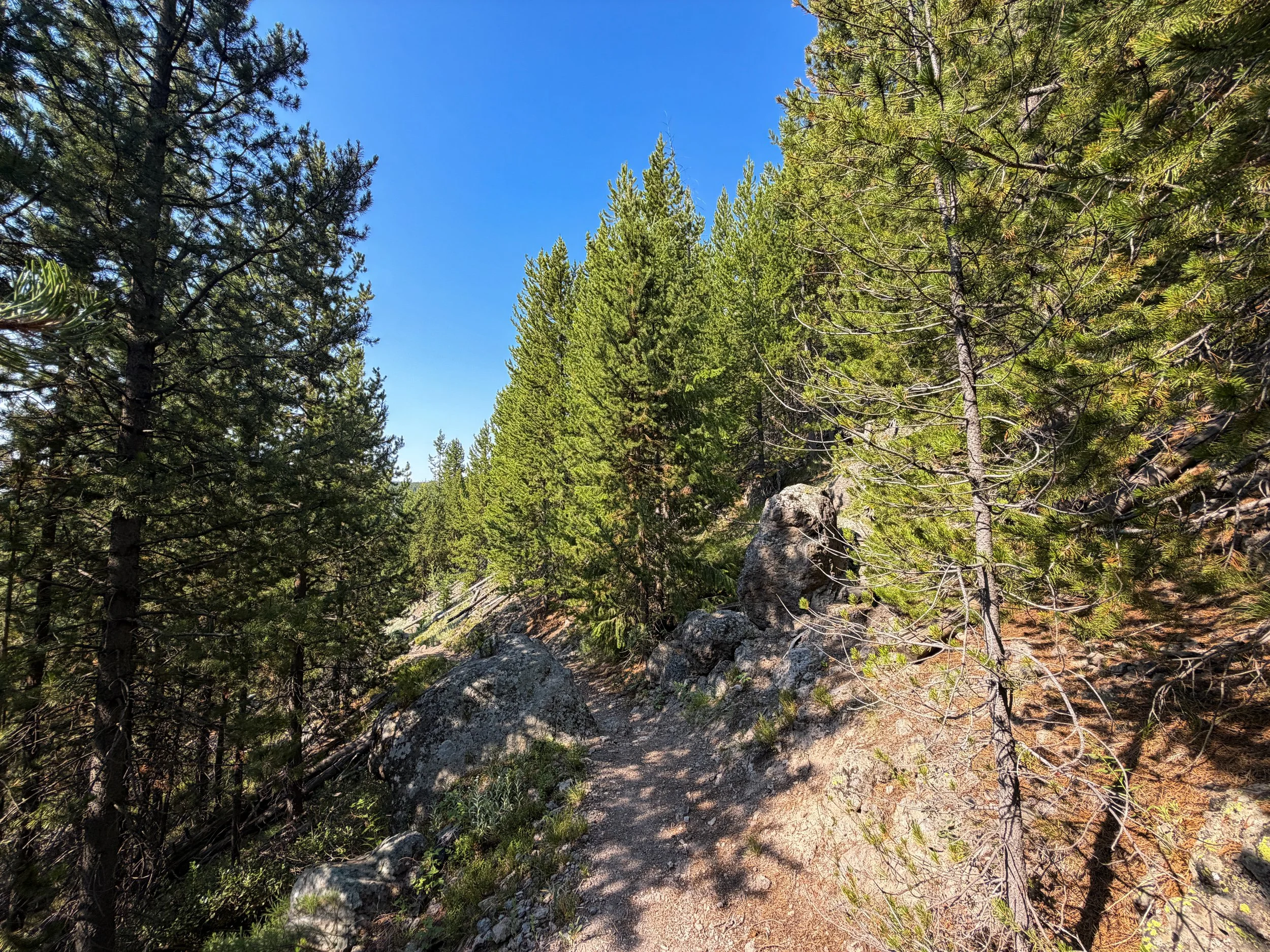 Mystic Falls Trail Yellowstone National Park Wyoming