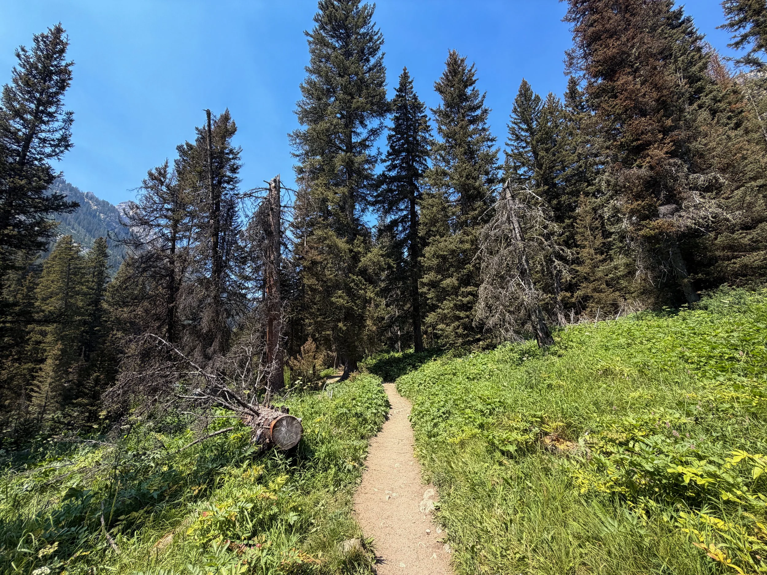 Cascade Canyon Trail to Teton Crest Trail Grand Teton National Park Wyoming