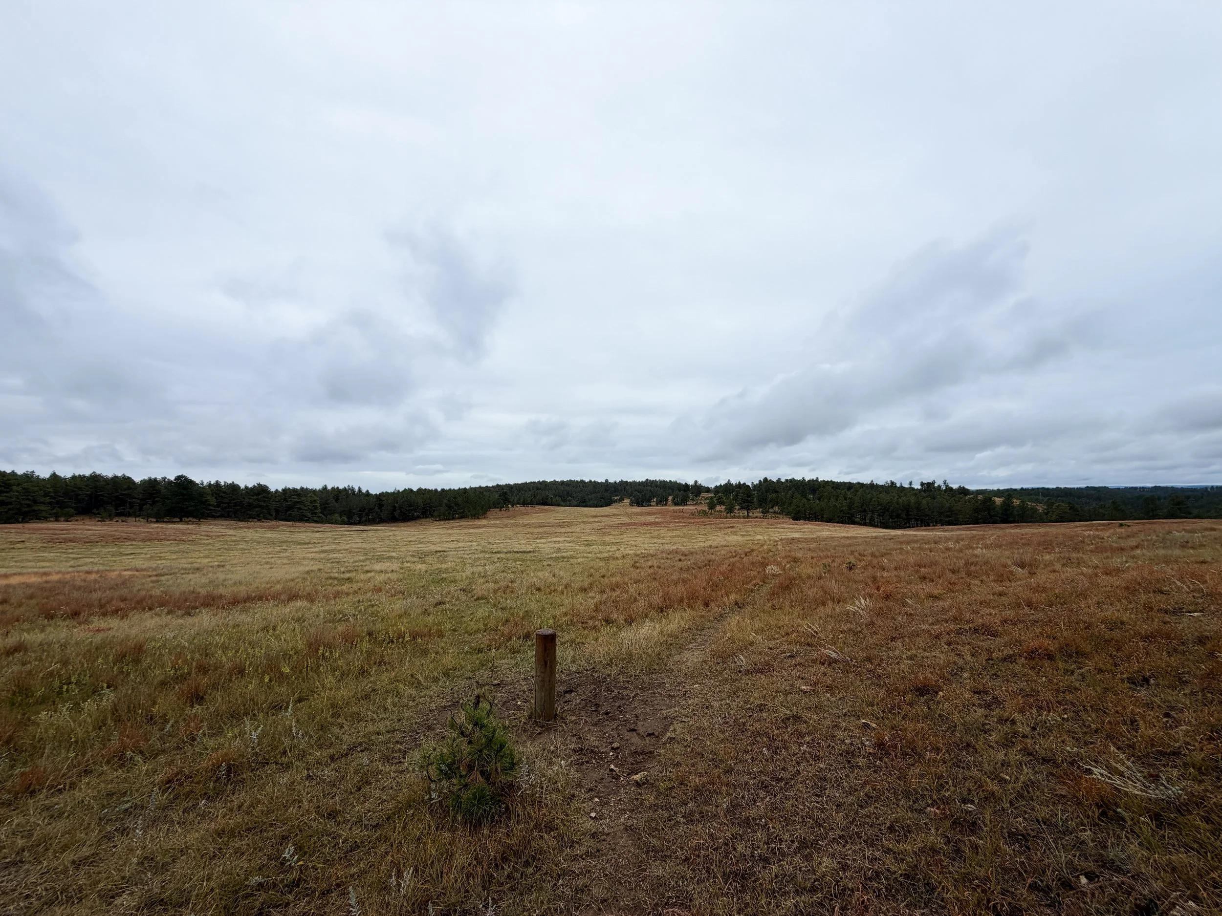 Highland Creek Hike Wind Cave National Park South Dakota