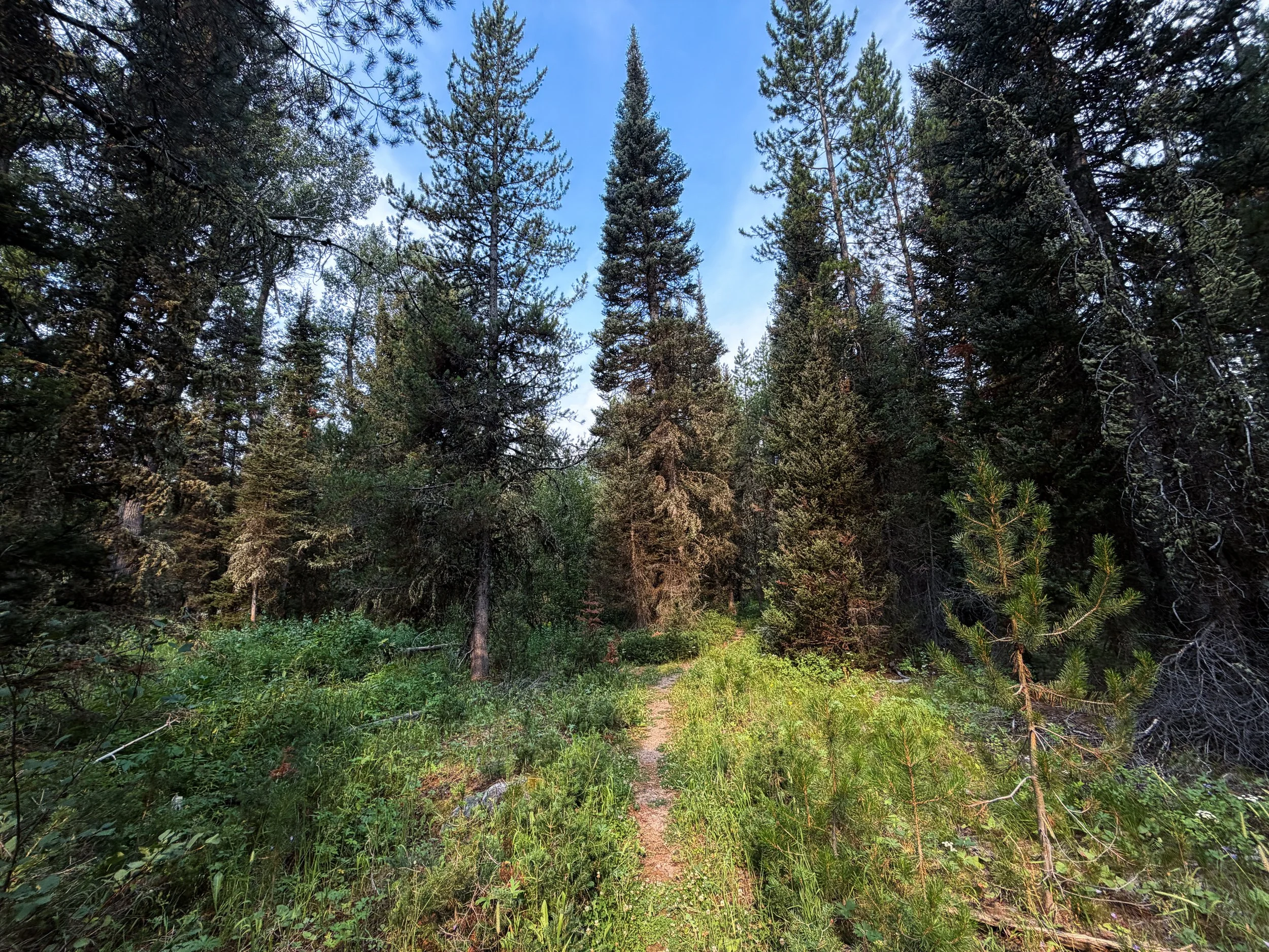 Boulder Aspen Ridge Loop Trail Grand Teton National Park Wyoming
